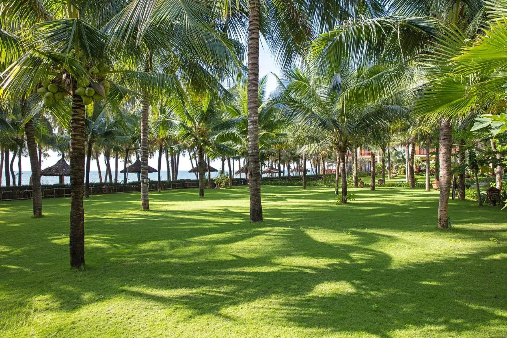 Garden in Sunny Beach Resort & Spa