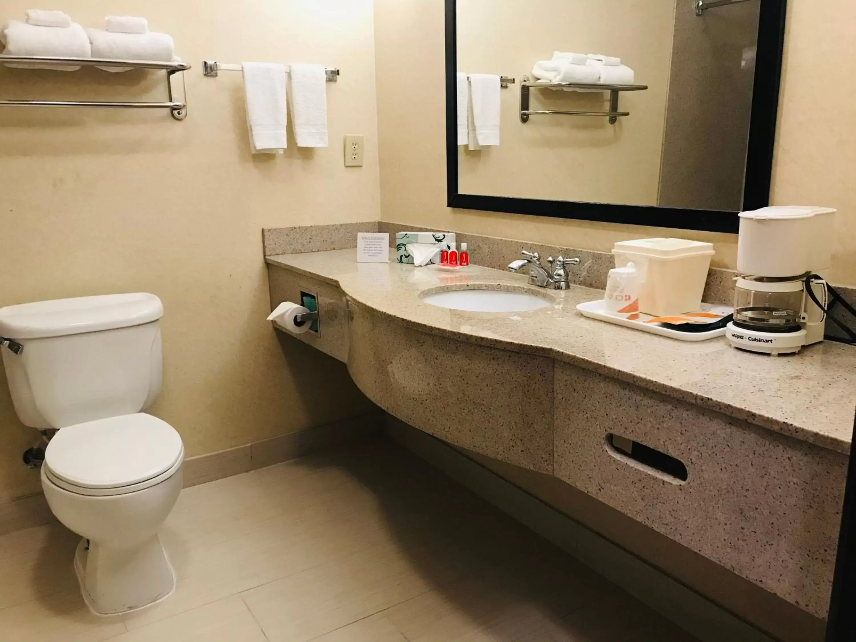 Bathroom in Econo Lodge Inn & Suites Beaumont