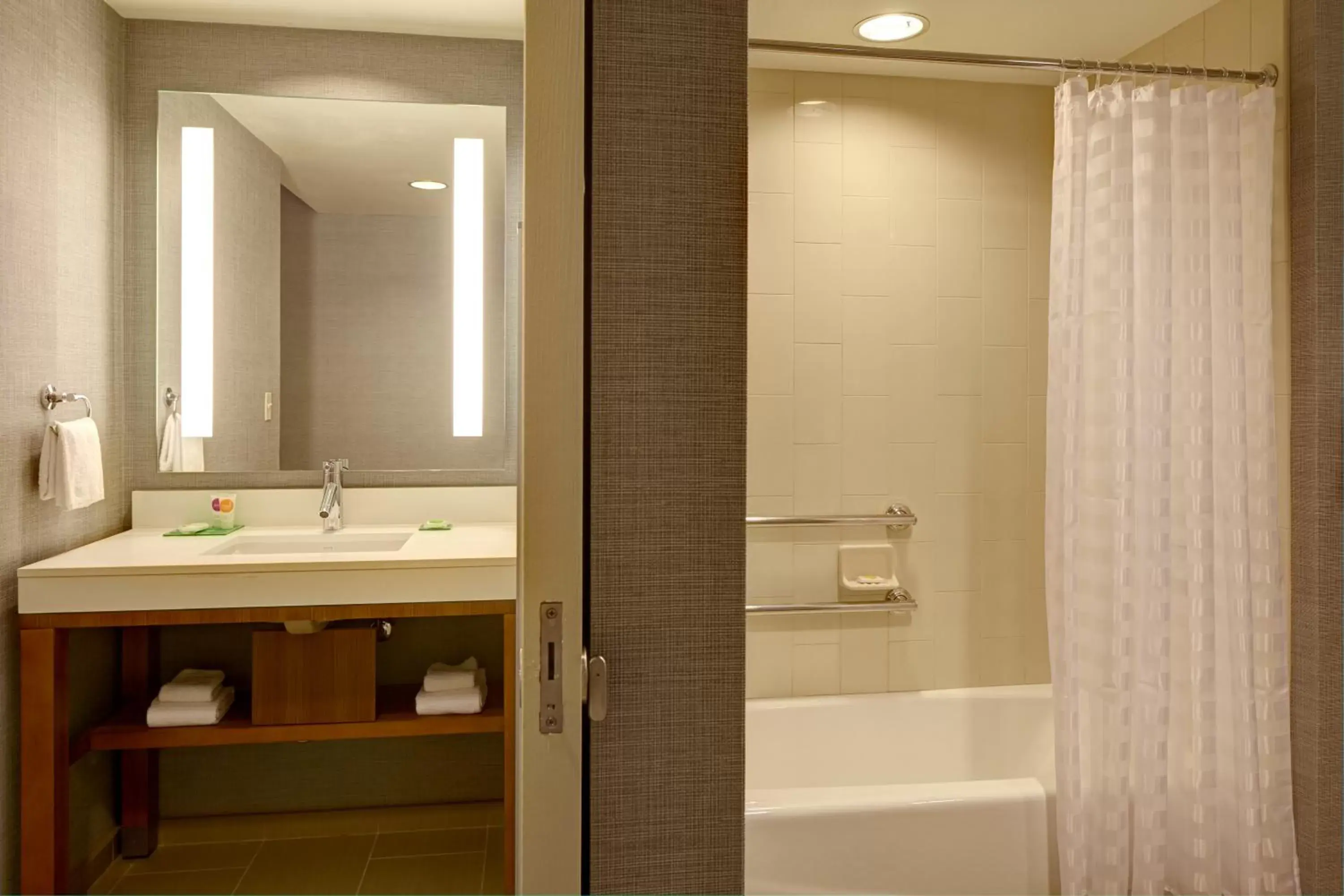 Bathroom in Hyatt Place Tampa/Wesley Chapel