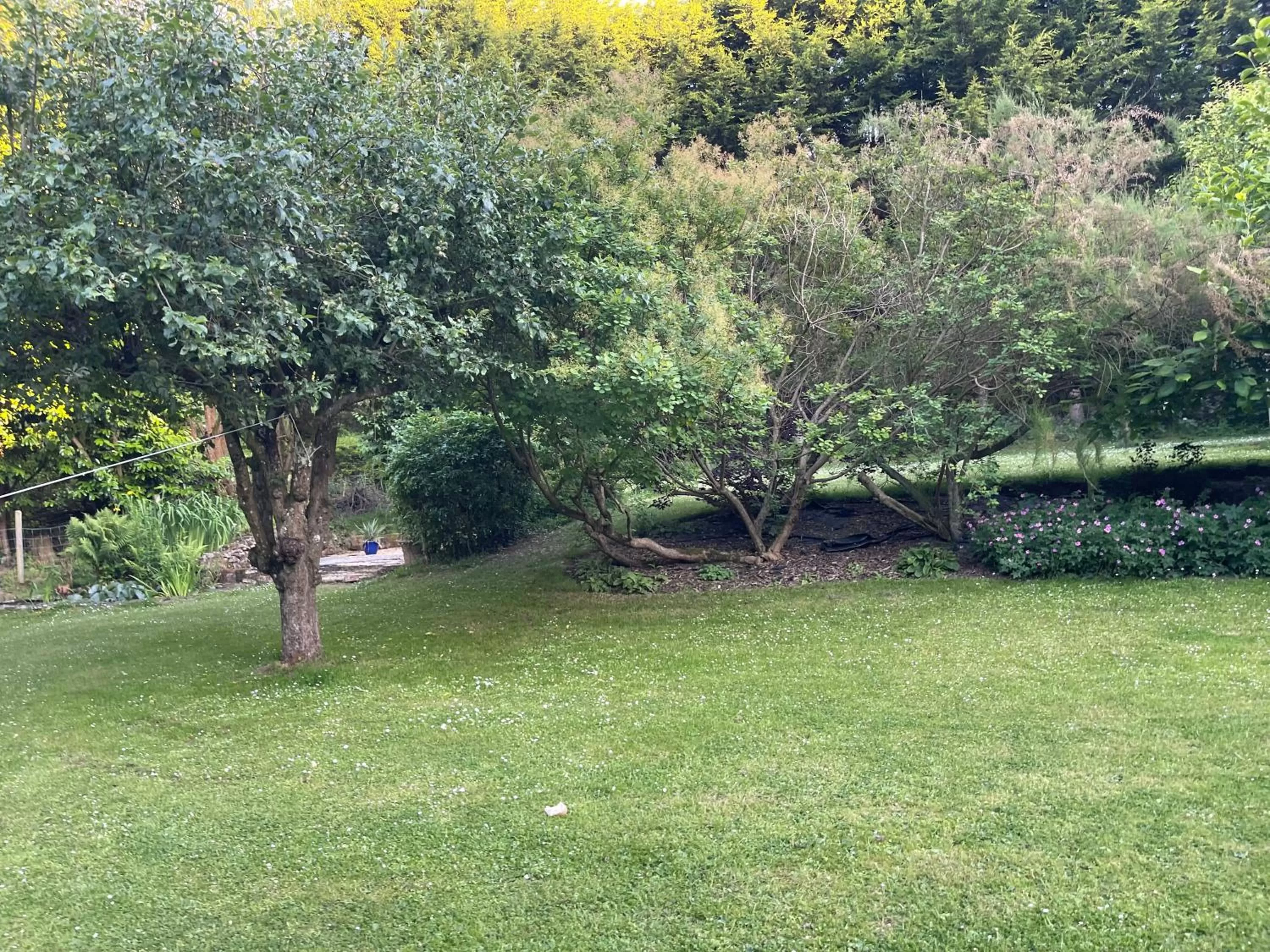 Garden in South Lodge House