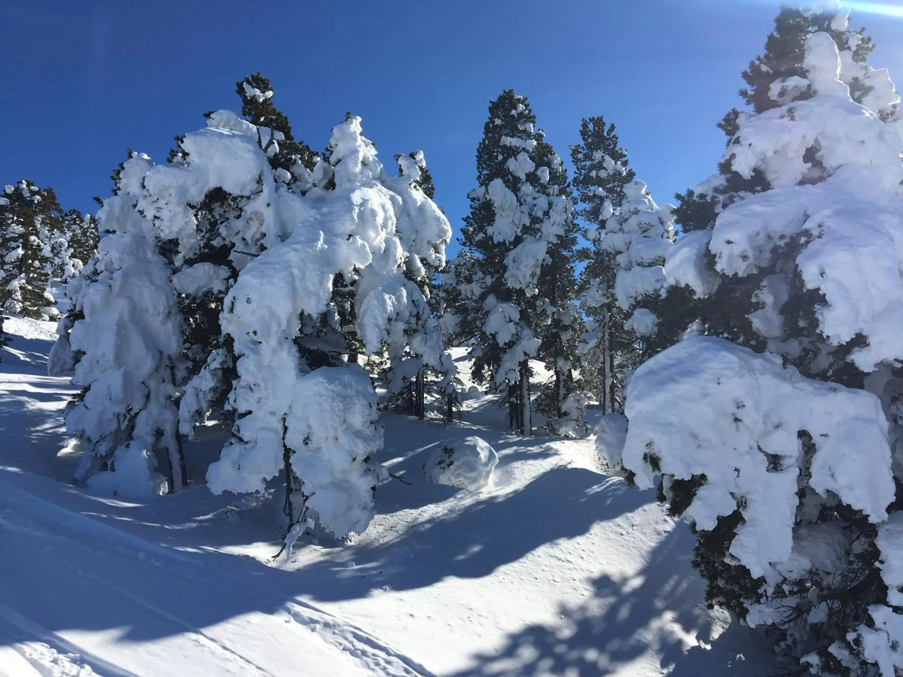 Ski School, Winter in Hôtel Le Dauphin