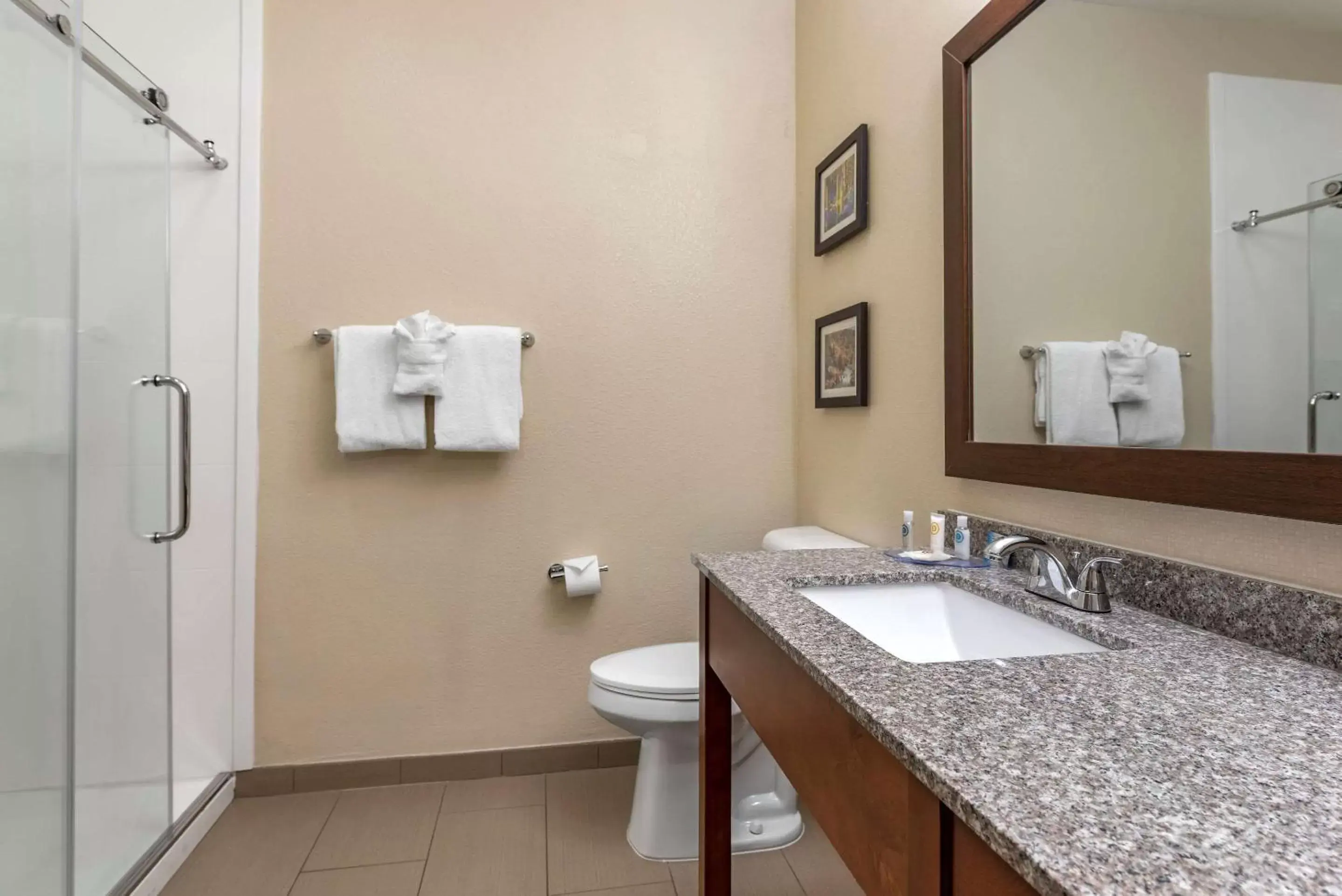 Bathroom in Comfort Inn & Suites Pueblo
