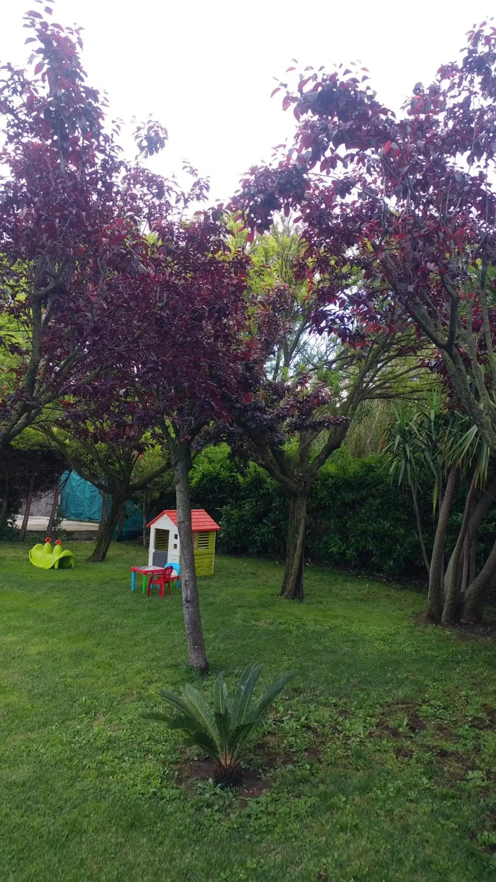 Garden in B&B Villa dei Sogni