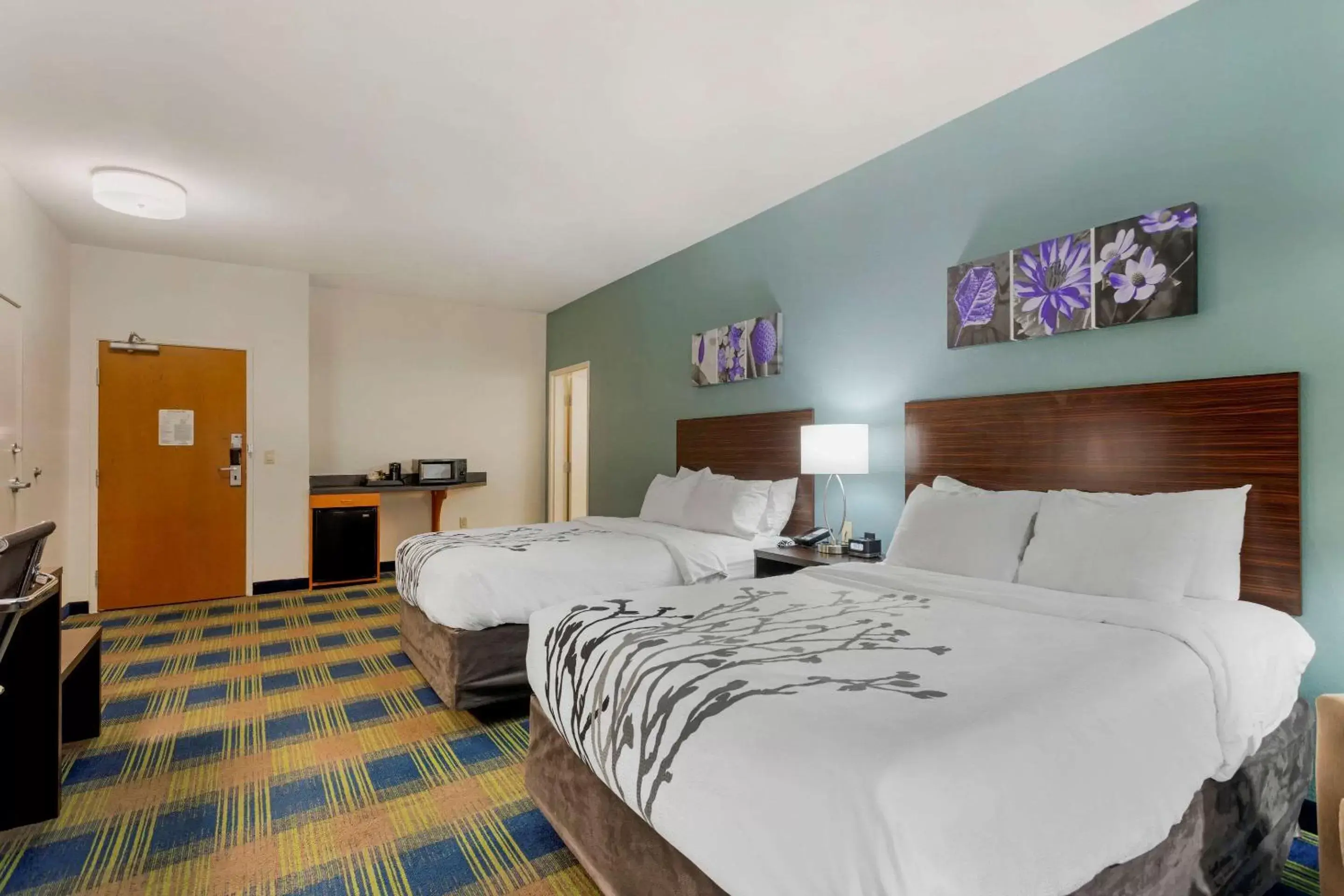 Photo of the whole room, Bed in Sleep Inn & Suites Smyrna – Nashville