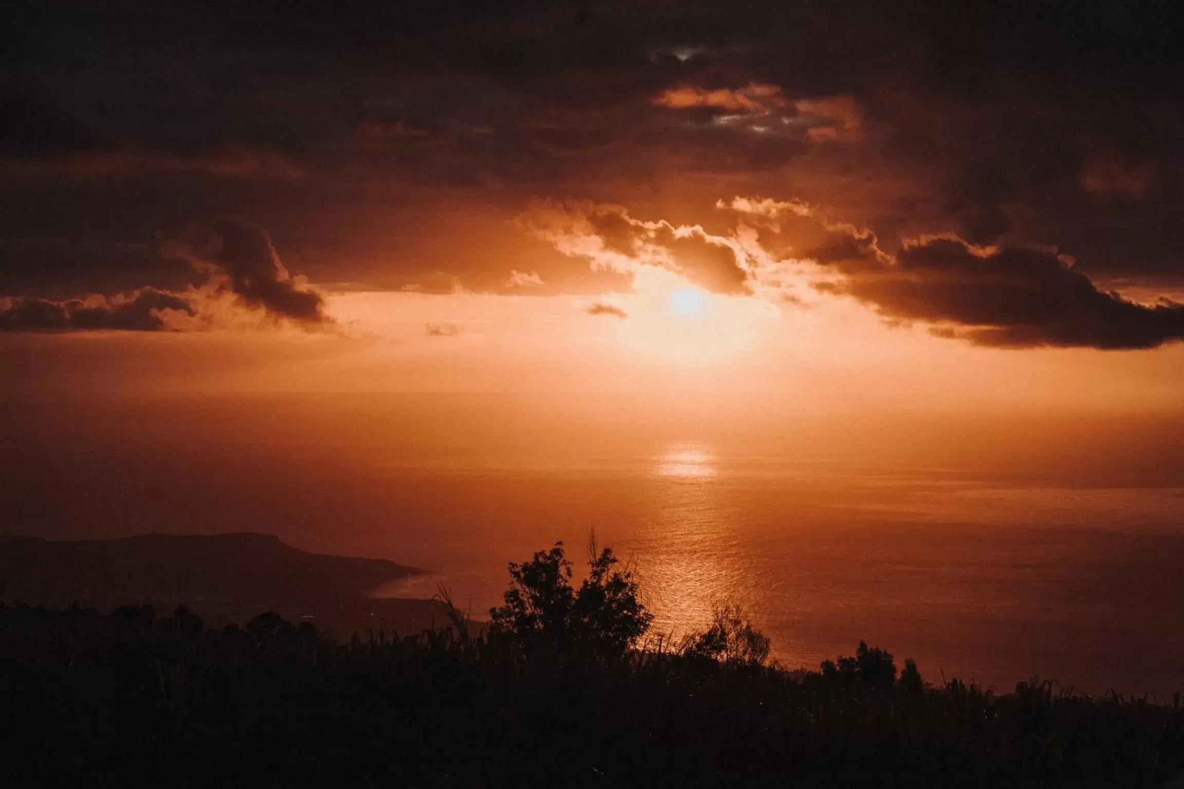 Ferme l'Eau de Coco Ferme l'Eau de Coco