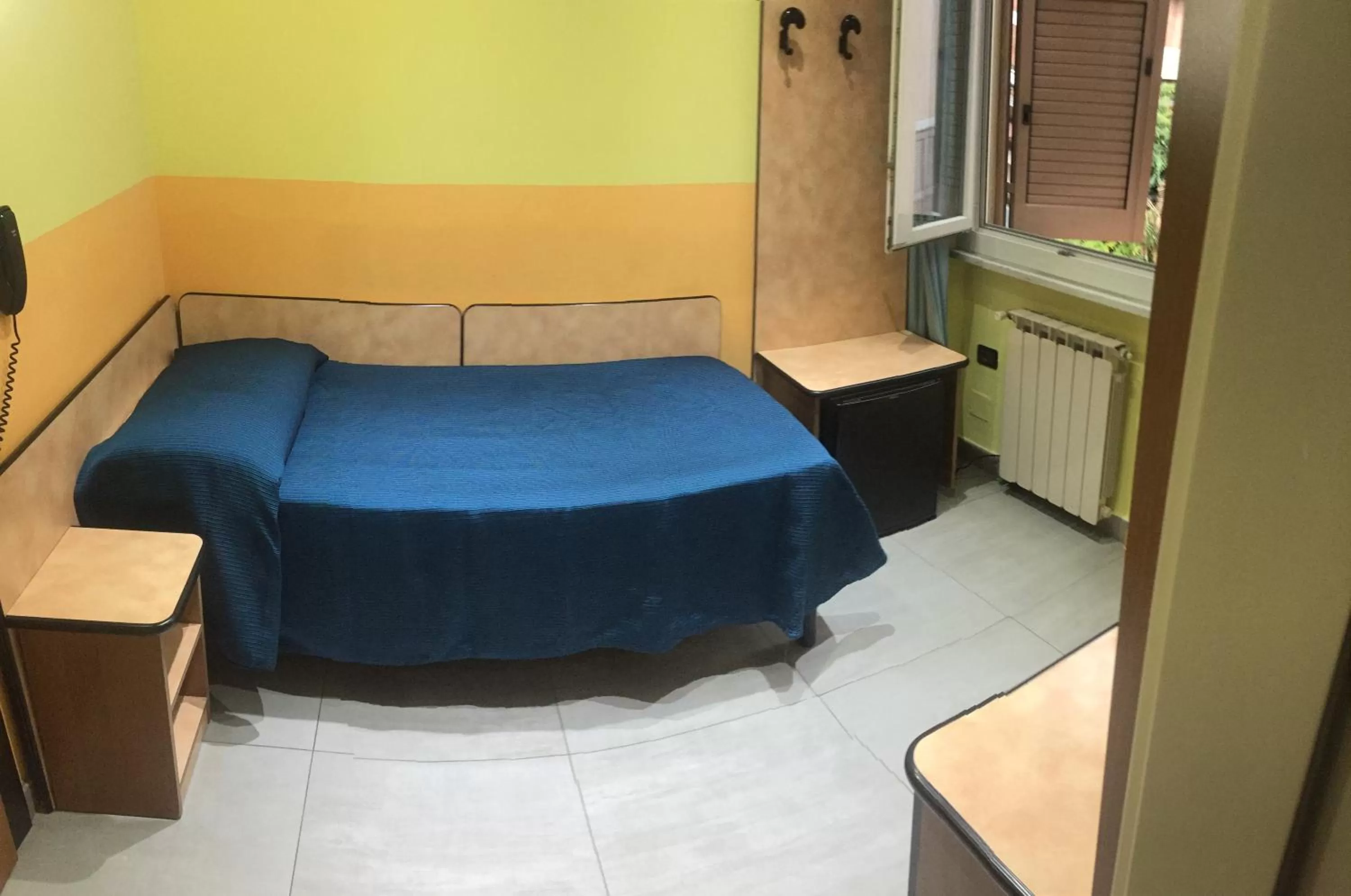 Single Room in Hotel Roma