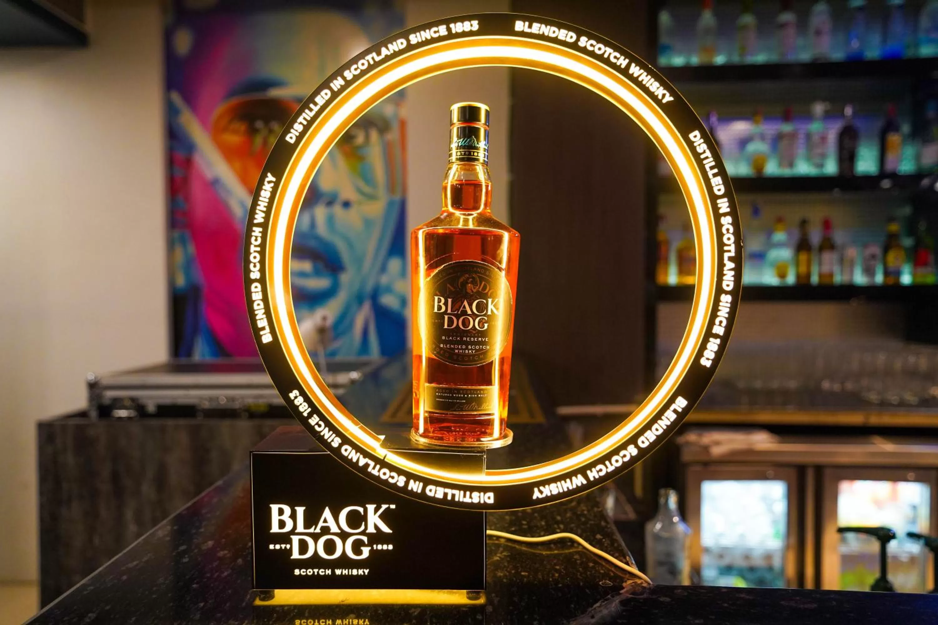 Nightclub / DJ in HOTEL SEVENTH SENSE