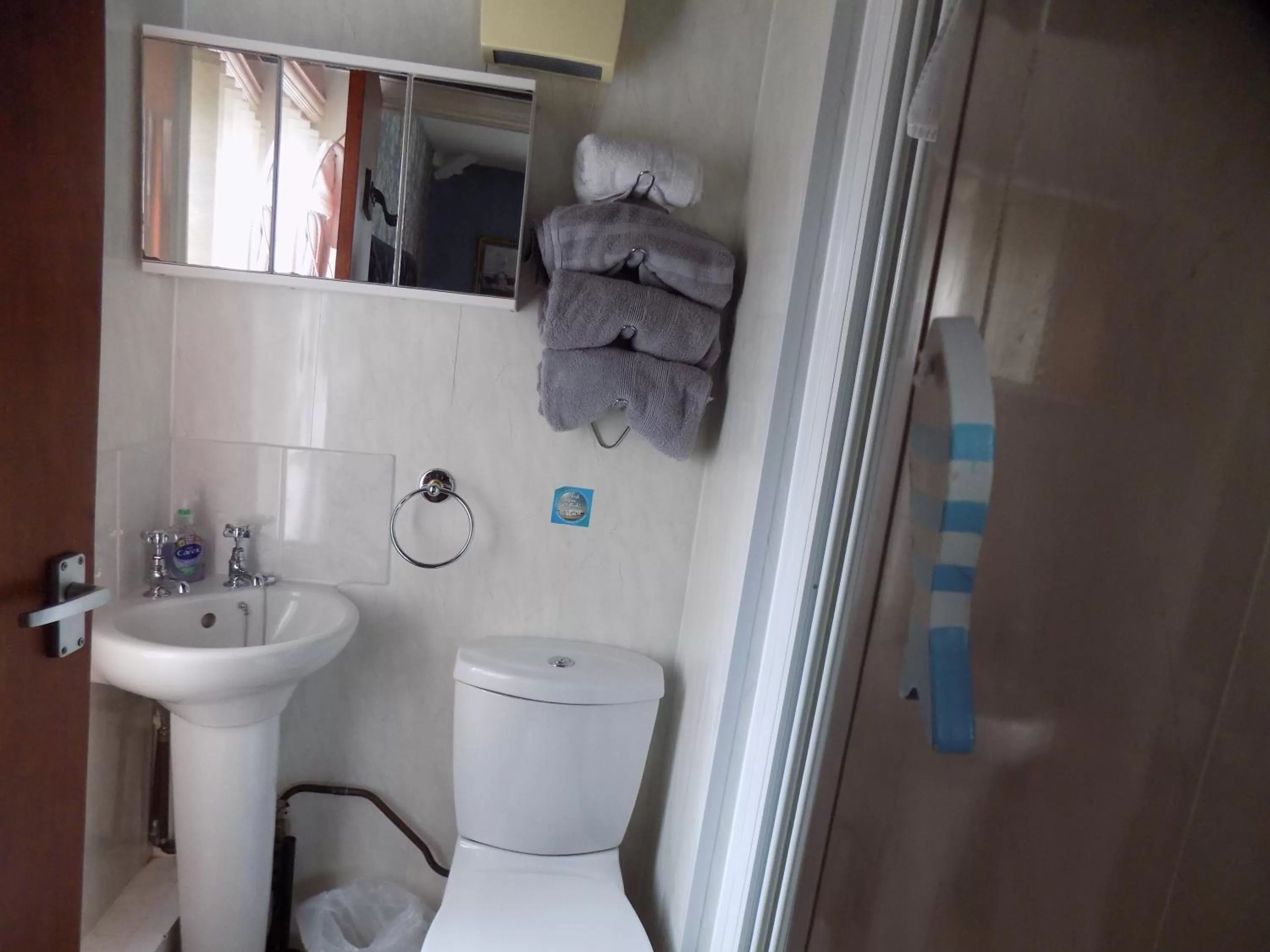 Bathroom in Tracey's Driftwood