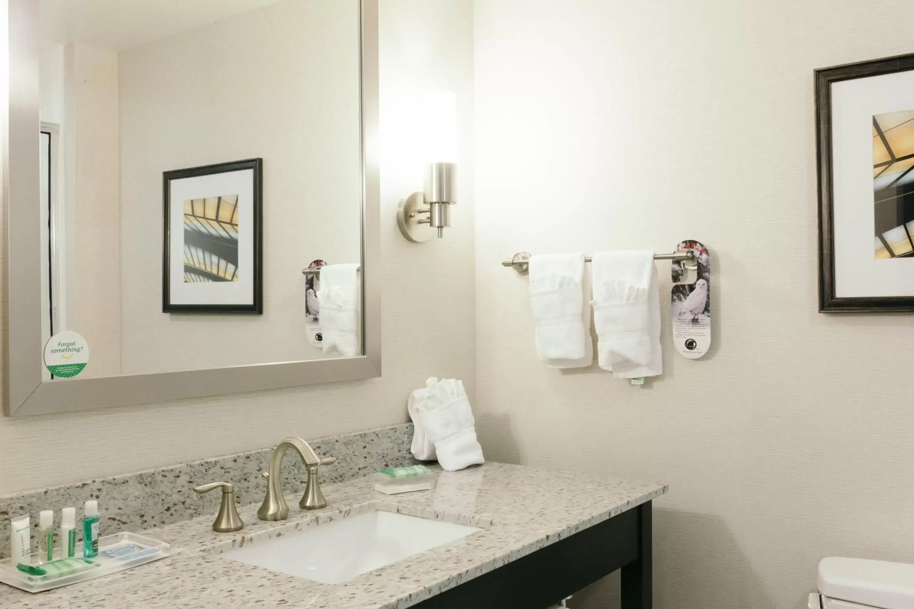 Bathroom in Holiday Inn and Suites East Peoria, an IHG Hotel