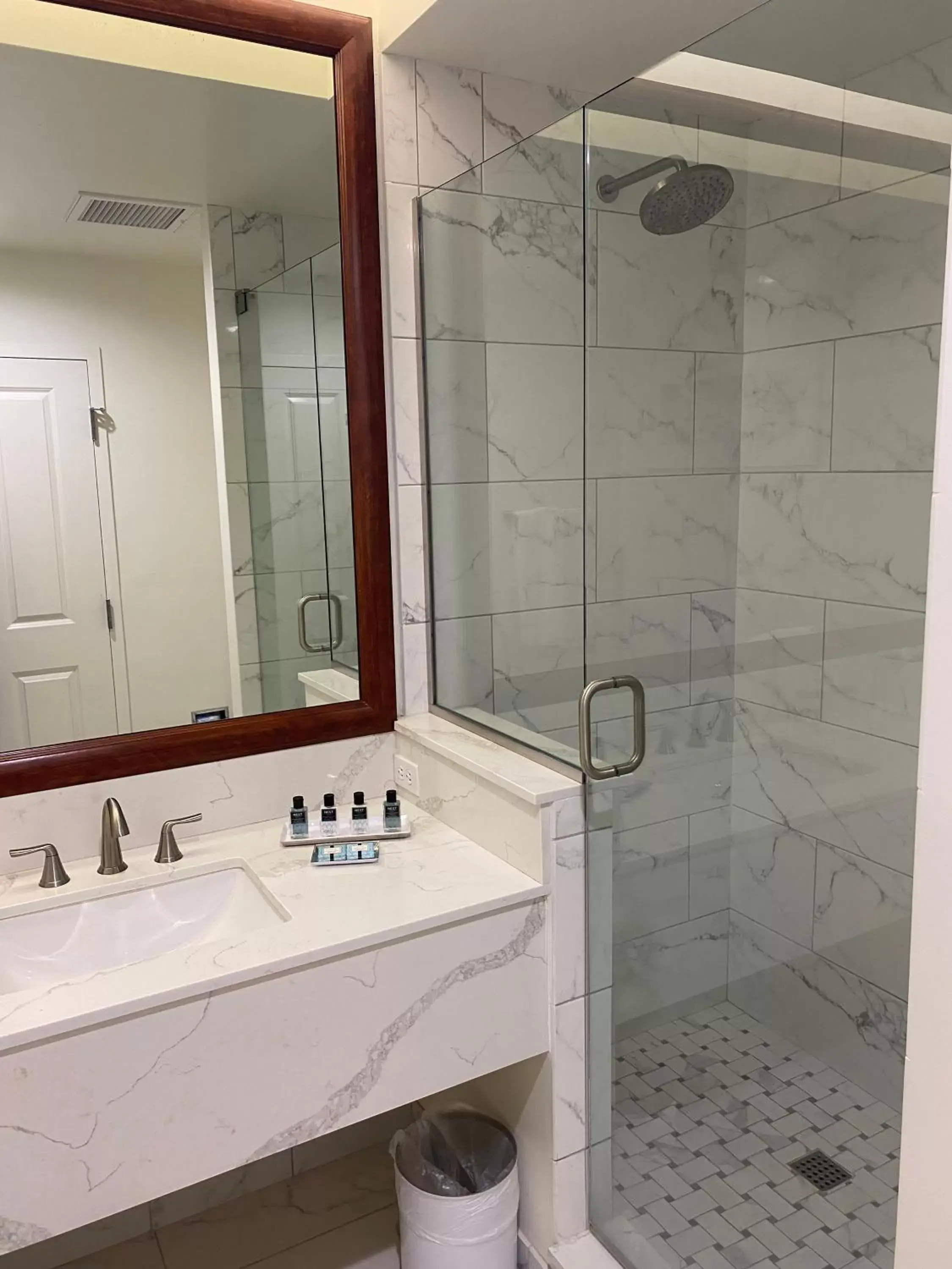 Shower, Bathroom in The Capri Inn