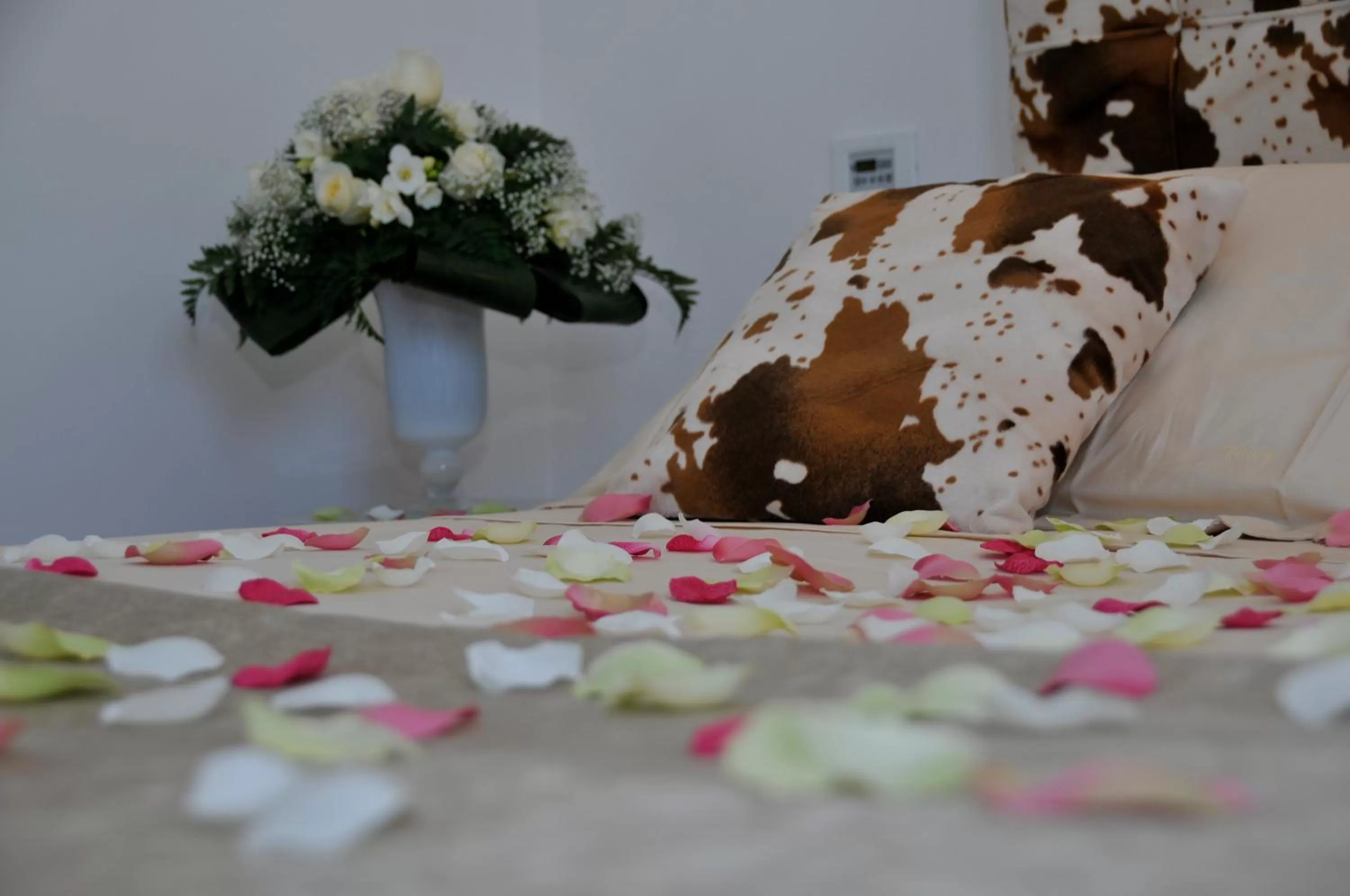 Decorative detail in Hotel Del Conte