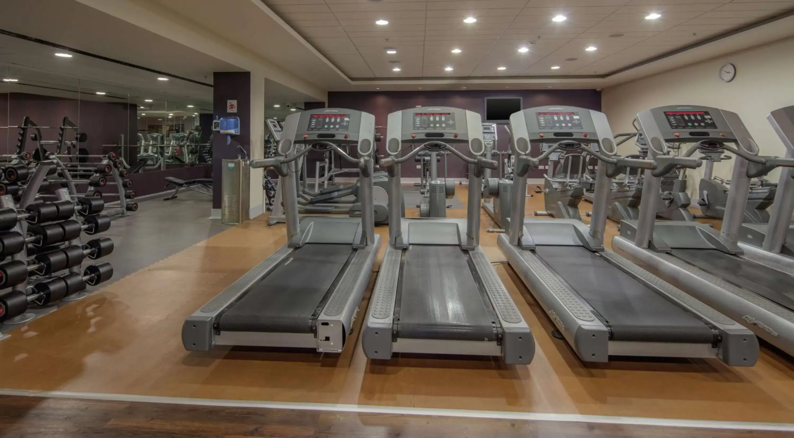 Fitness centre/facilities, Fitness Center/Facilities in Hilton Dublin Kilmainham