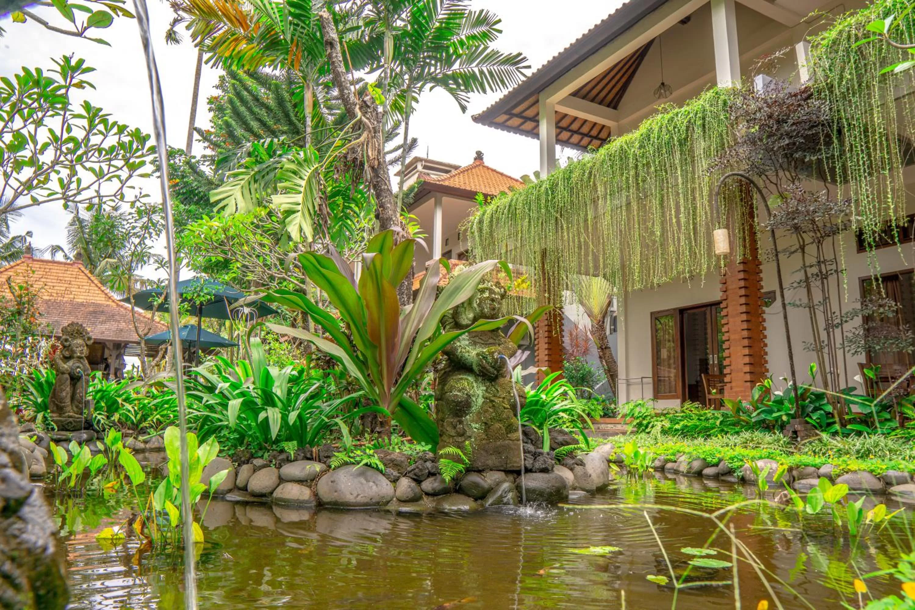 Natural landscape in Artini Bisma Ubud Hotel