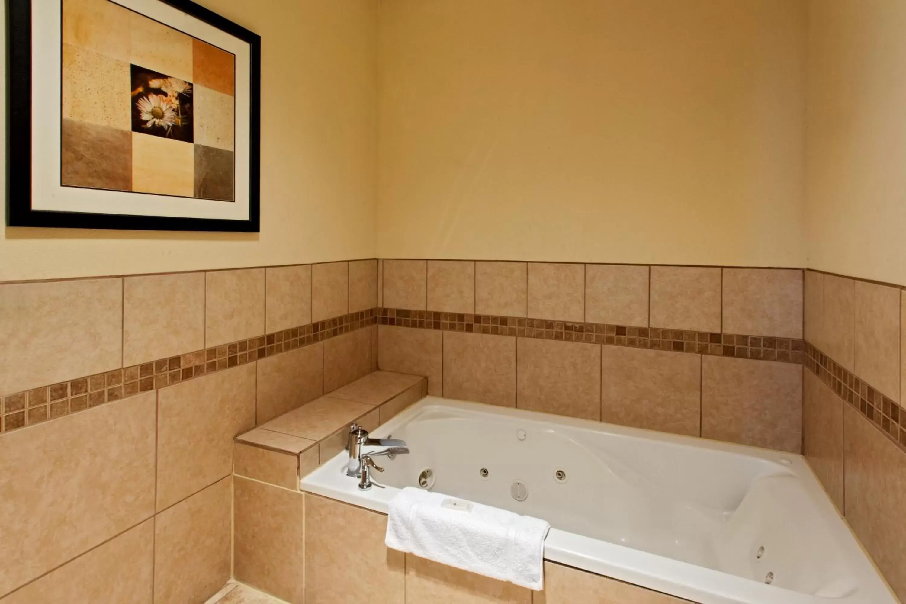 Photo of the whole room, Bathroom in Holiday Inn Express Hotel & Suites Cleburne, an IHG Hotel