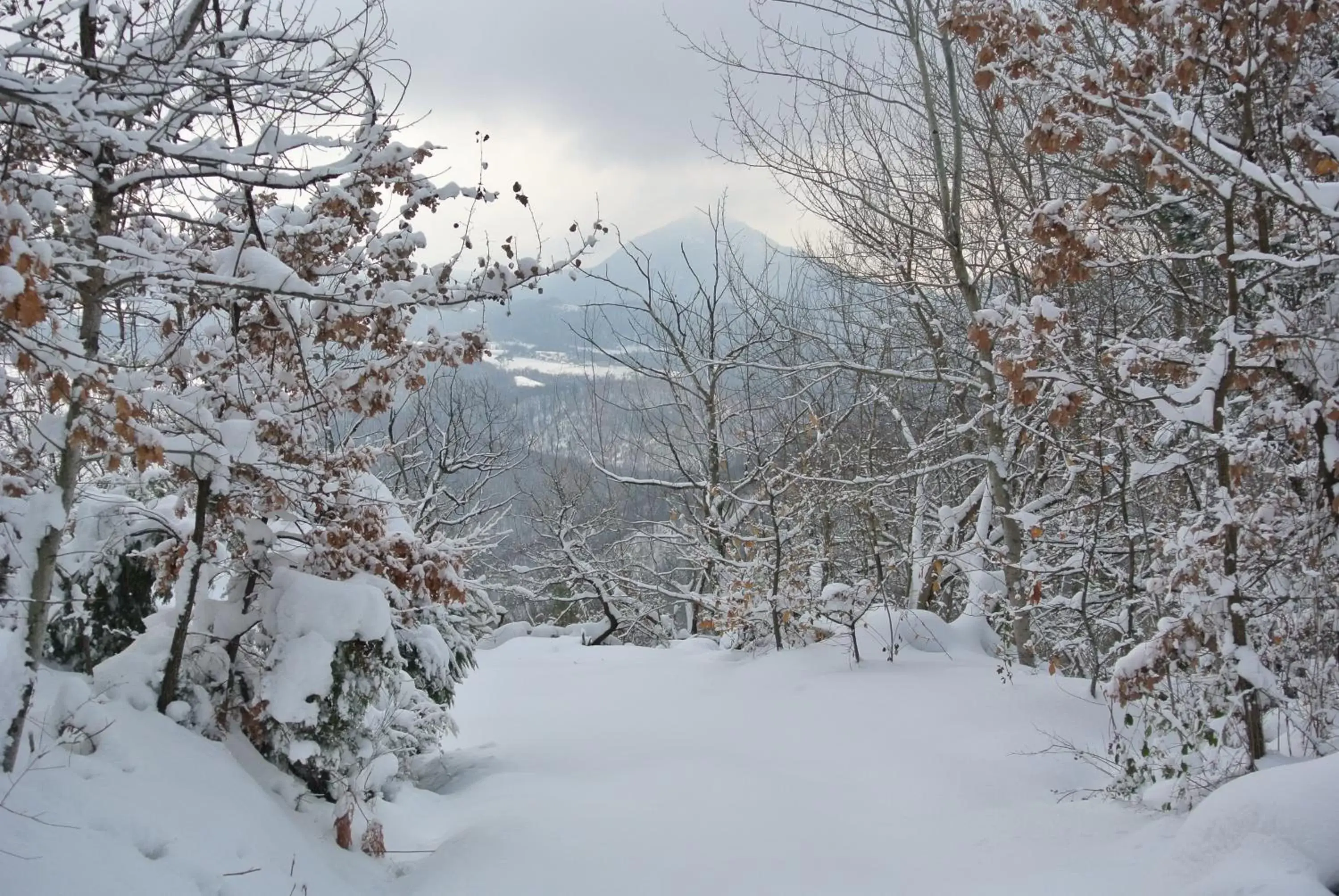 Natural landscape, Winter in Hotel Dei Conti