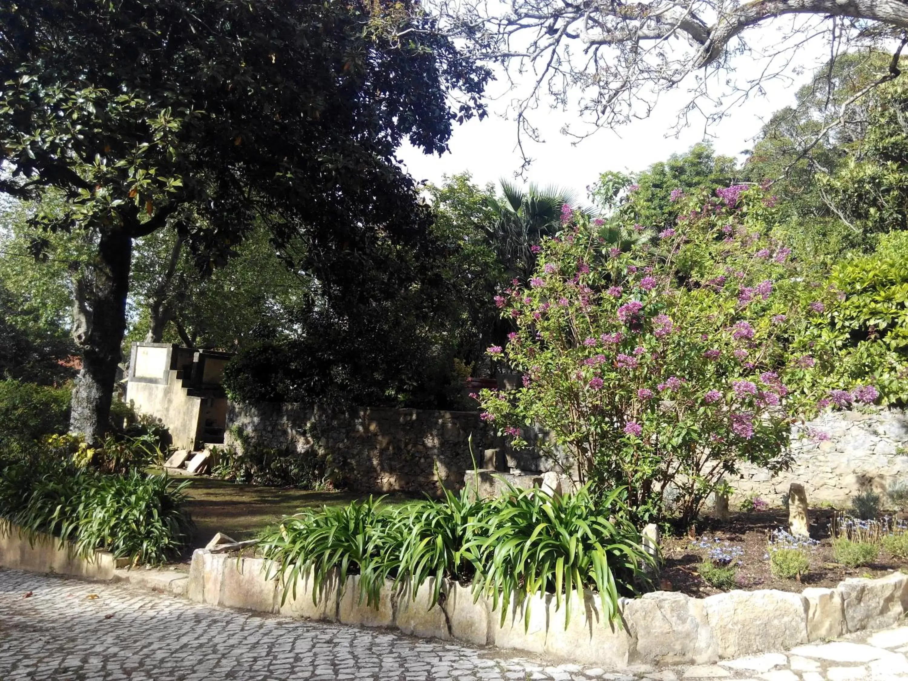 Garden in Guest House Villa dos Poetas