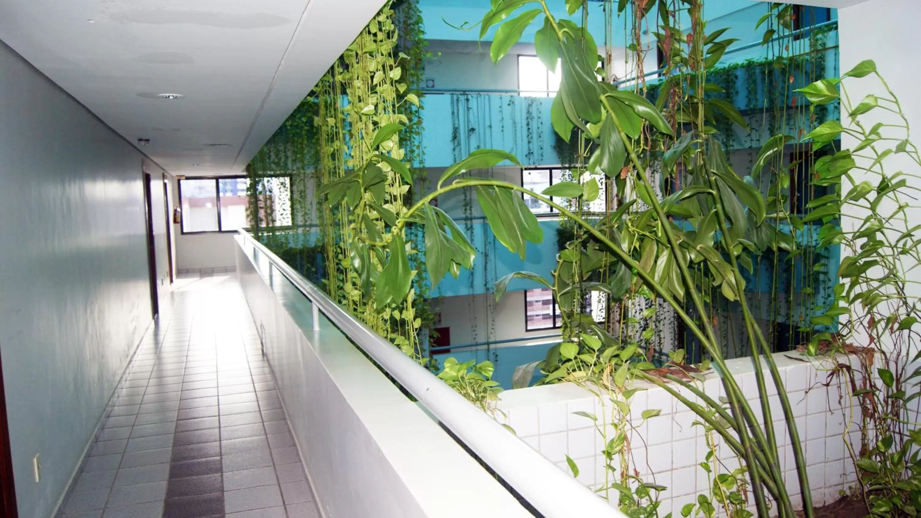 Other in Littoral Tambaú Flat