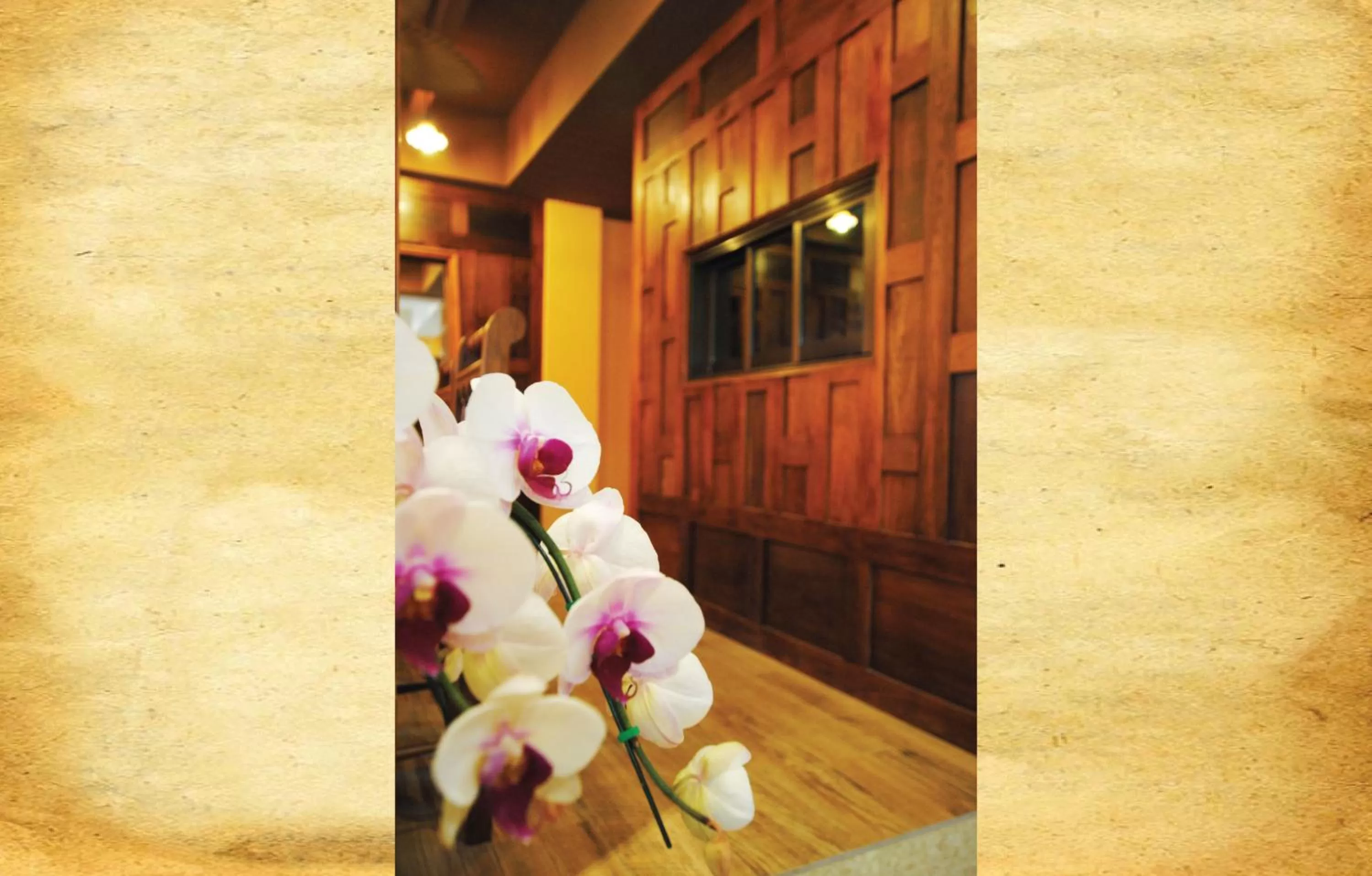 Decorative detail in Focal Local Bed & Breakfast