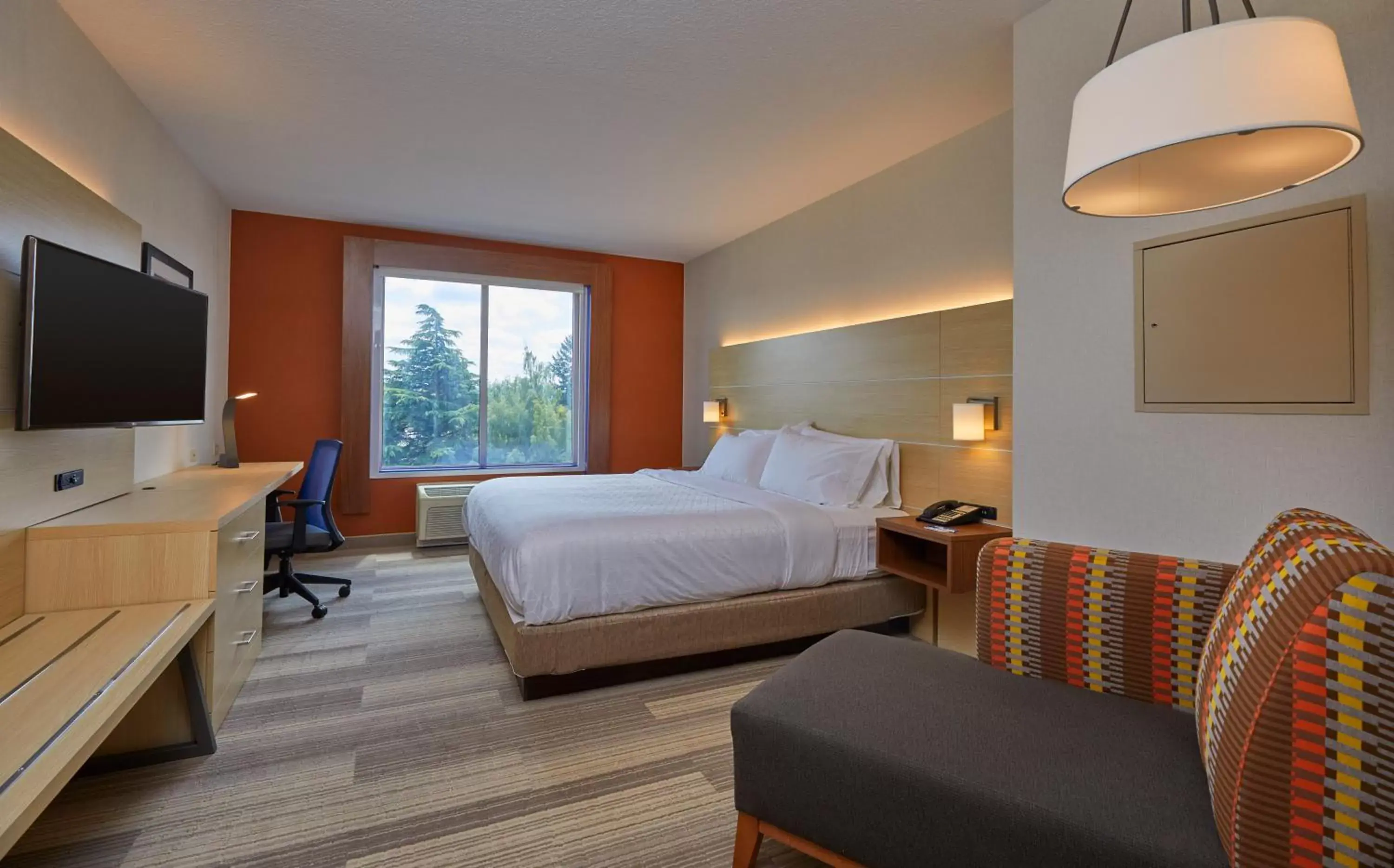 Photo of the whole room in Holiday Inn Express : Eugene - Springfield, an IHG Hotel