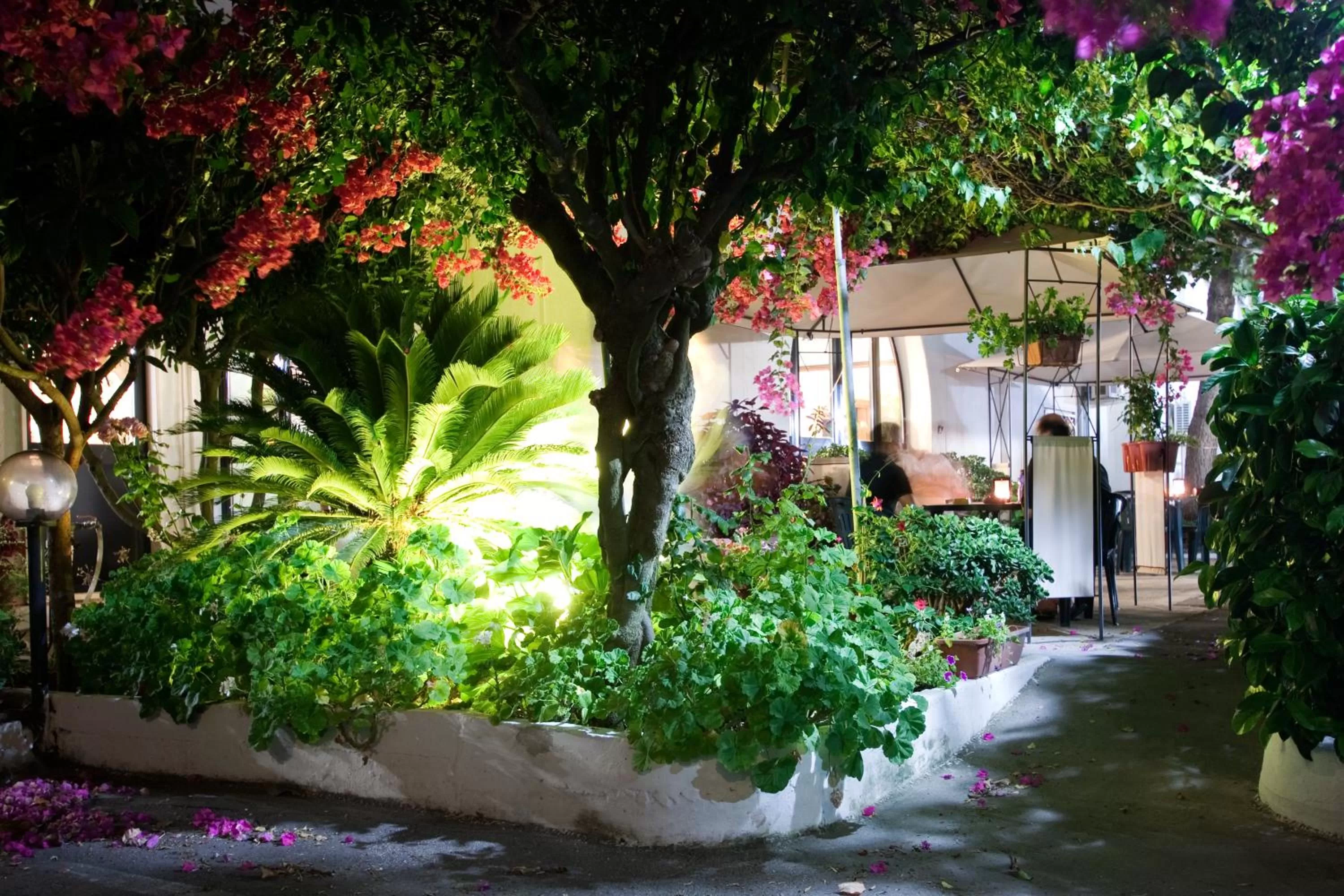 Garden in Hotel Residence Nemo