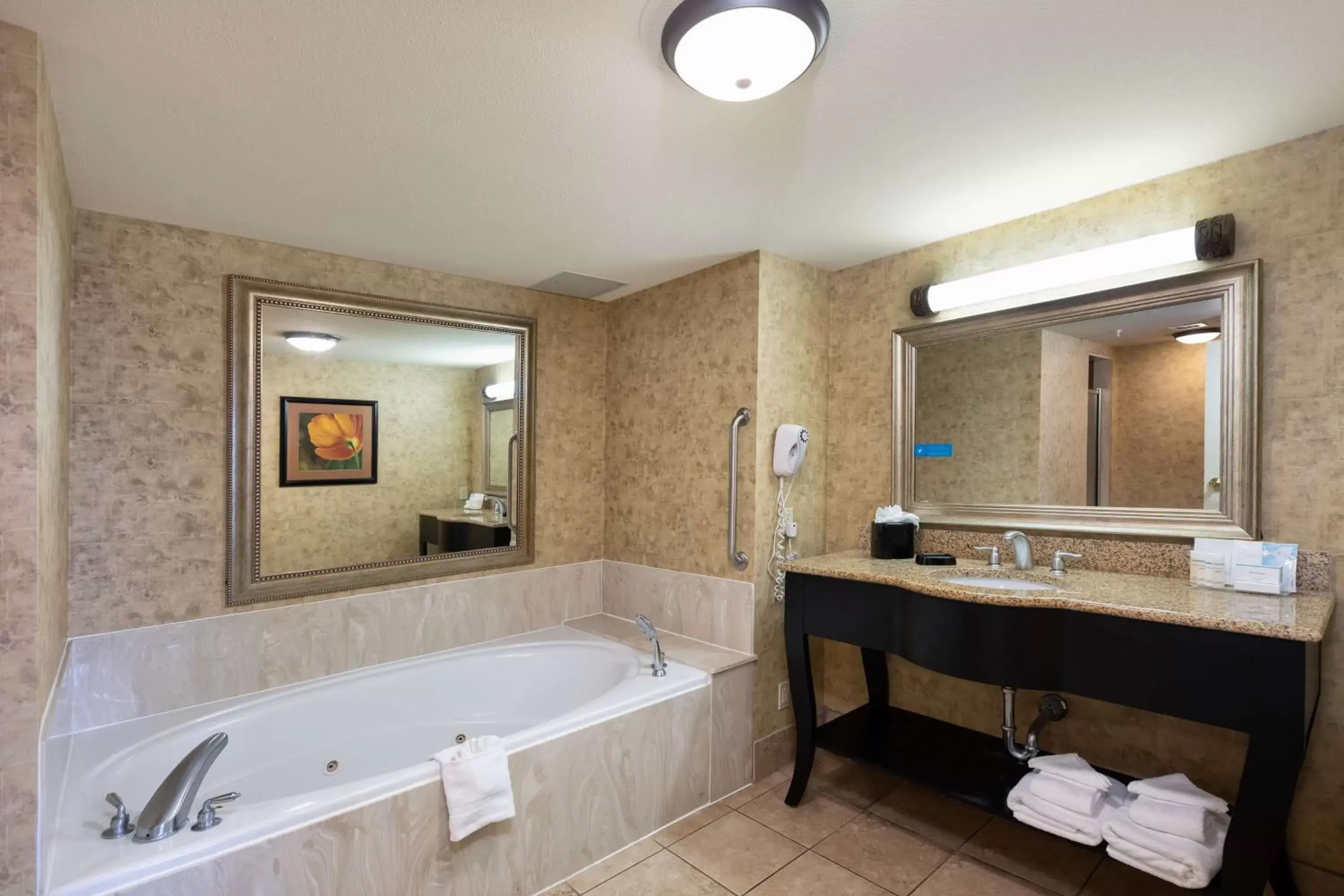 Bathroom in Hampton Inn & Suites Baton Rouge - I-10 East
