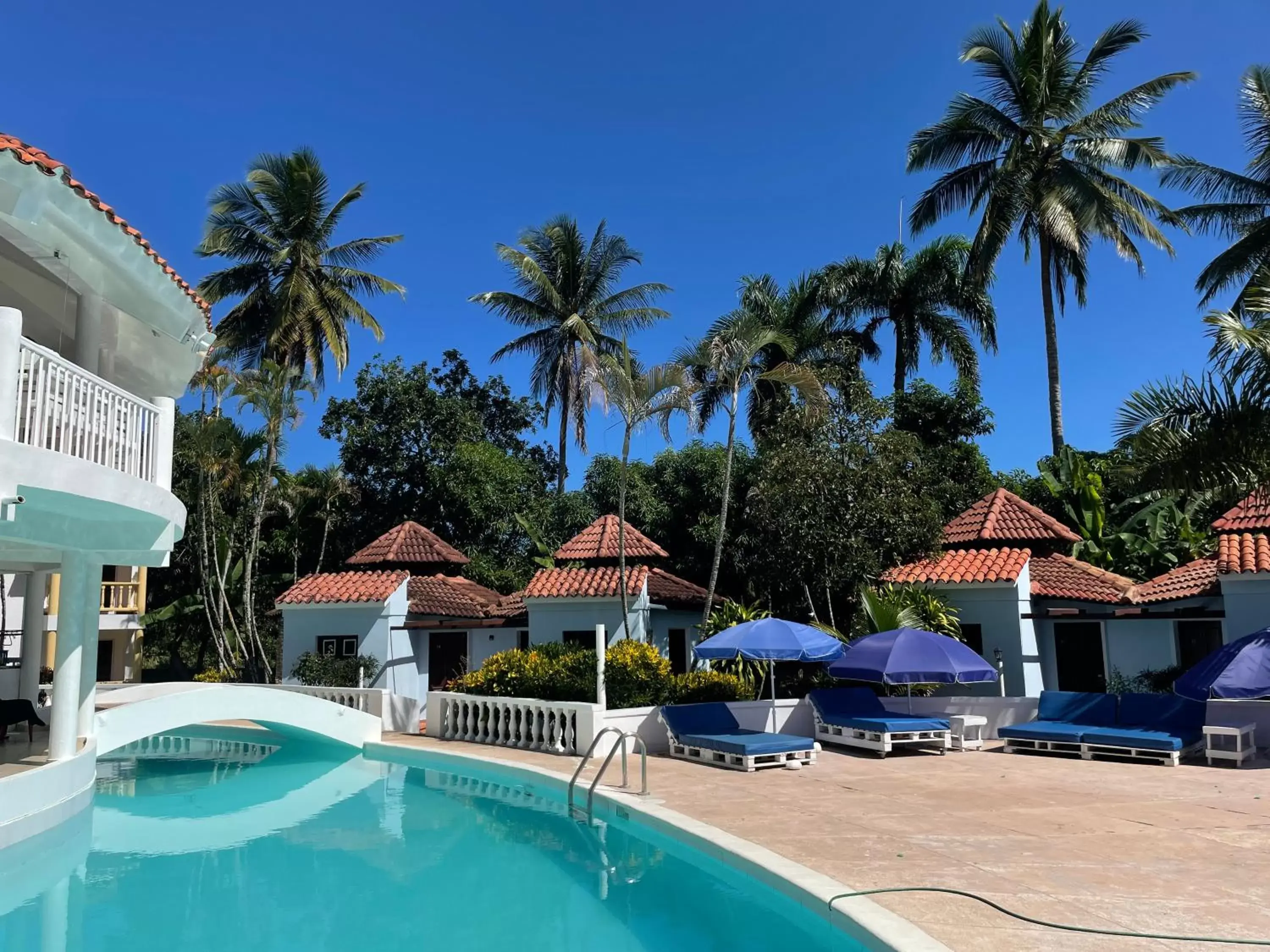 Pool view, Swimming Pool in Palms Lounge Cabarete