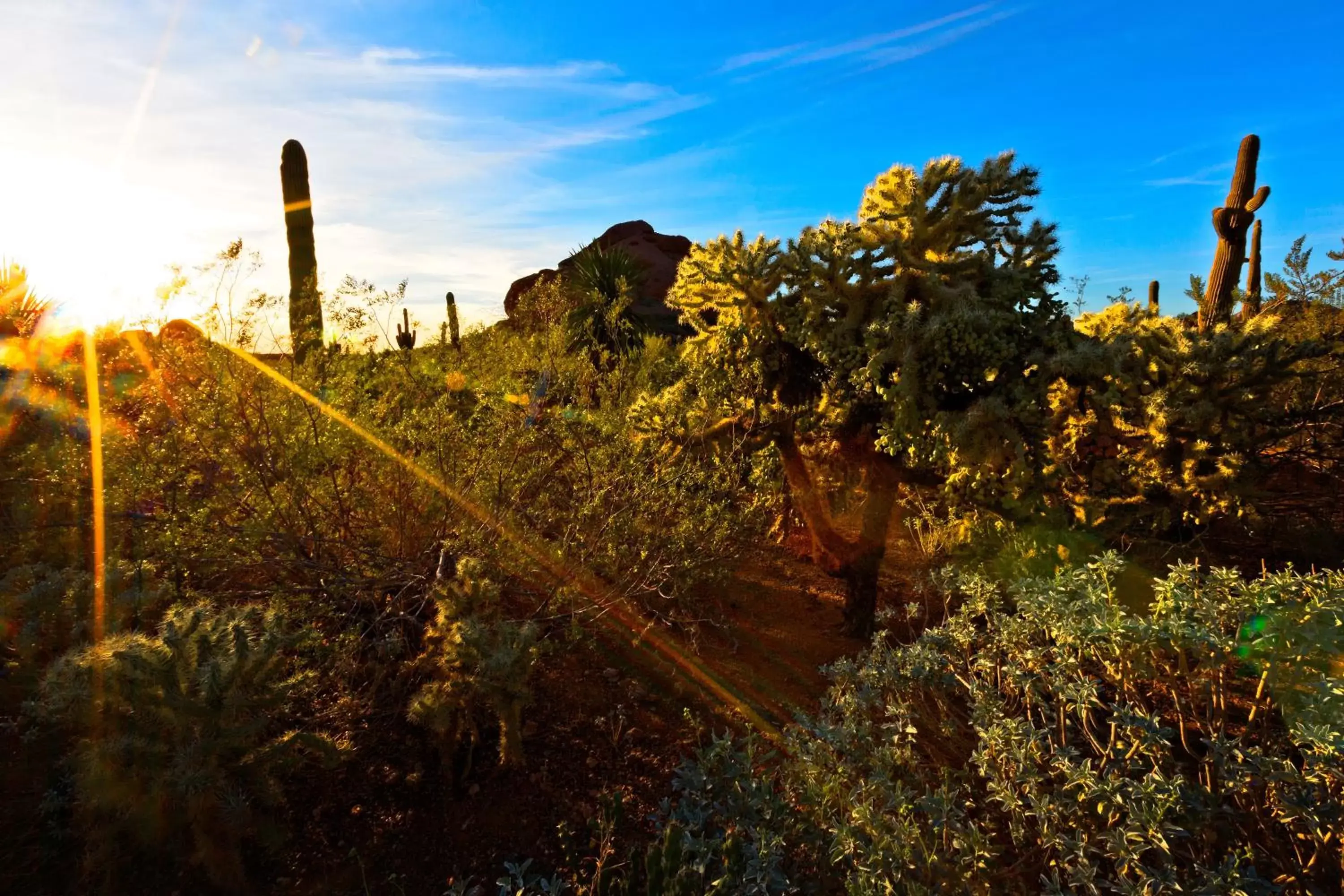 Nearby landmark in Holiday Inn Express & Suites - Phoenix - Airport North, an IHG Hotel