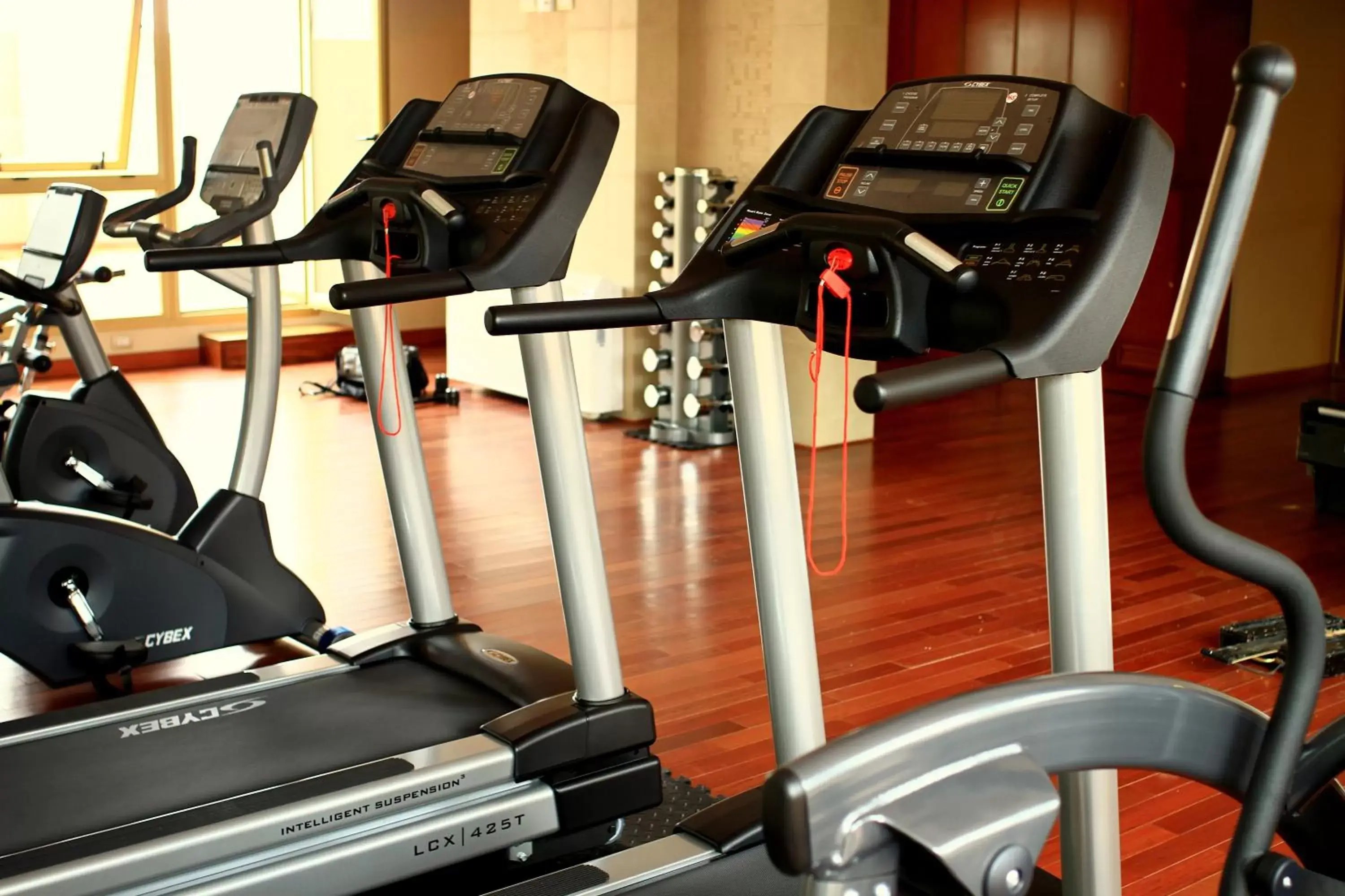 Day, Fitness Center/Facilities in Hotel Intersur Recoleta