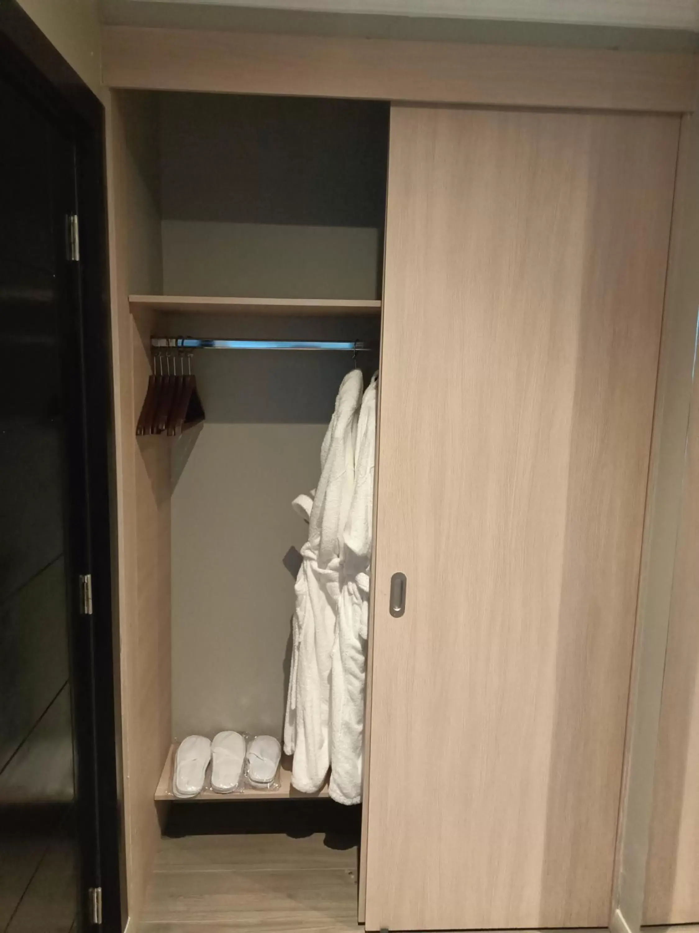 wardrobe, Bathroom in Hotel Enjoy Pucon