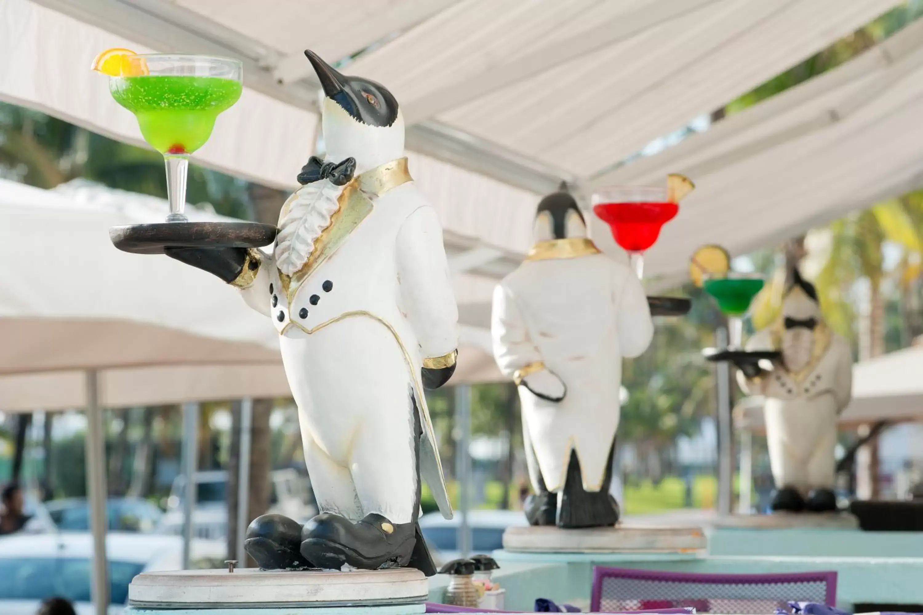 Drinks in Penguin Hotel