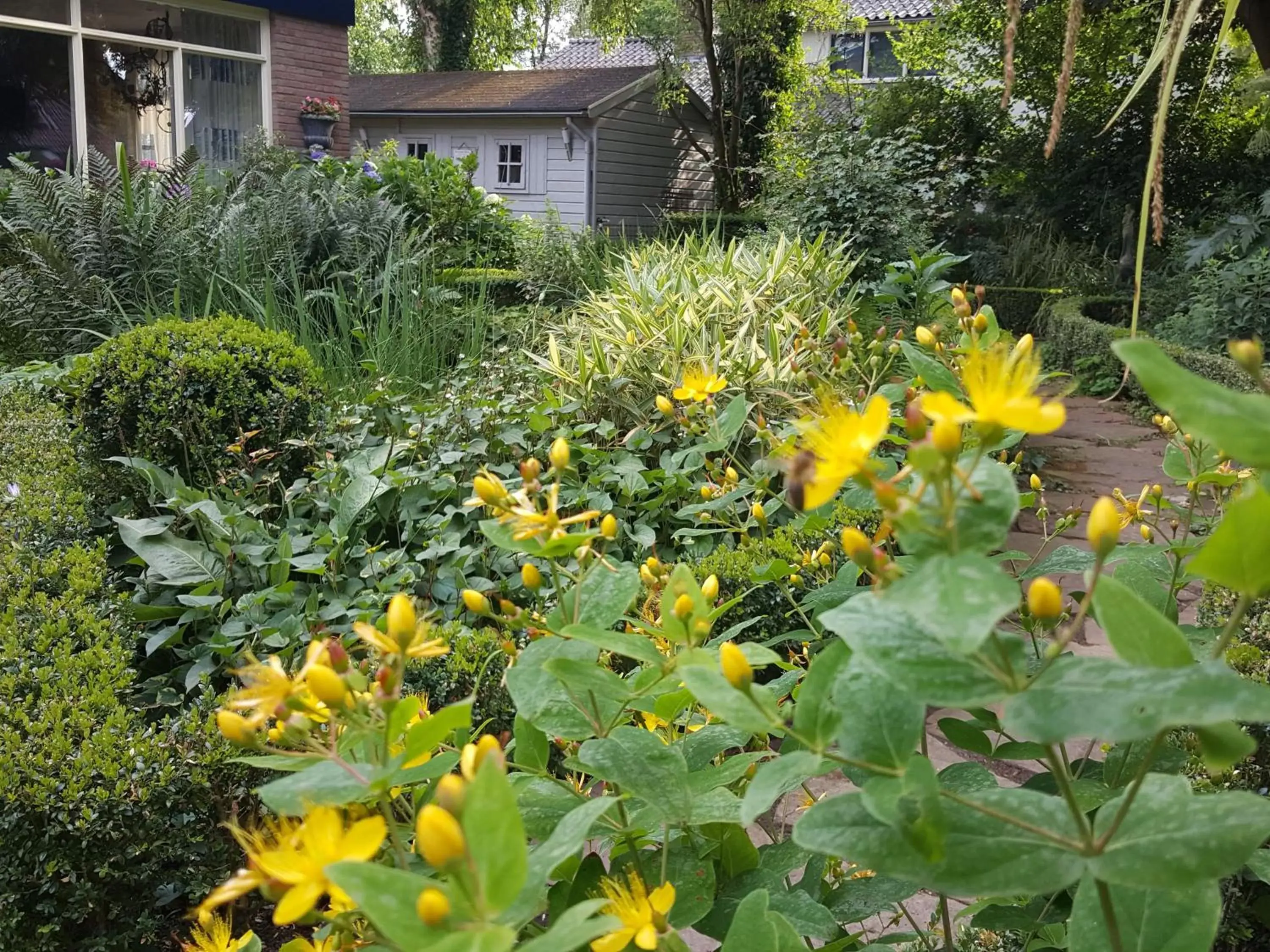 Garden in B&B De Slaperije