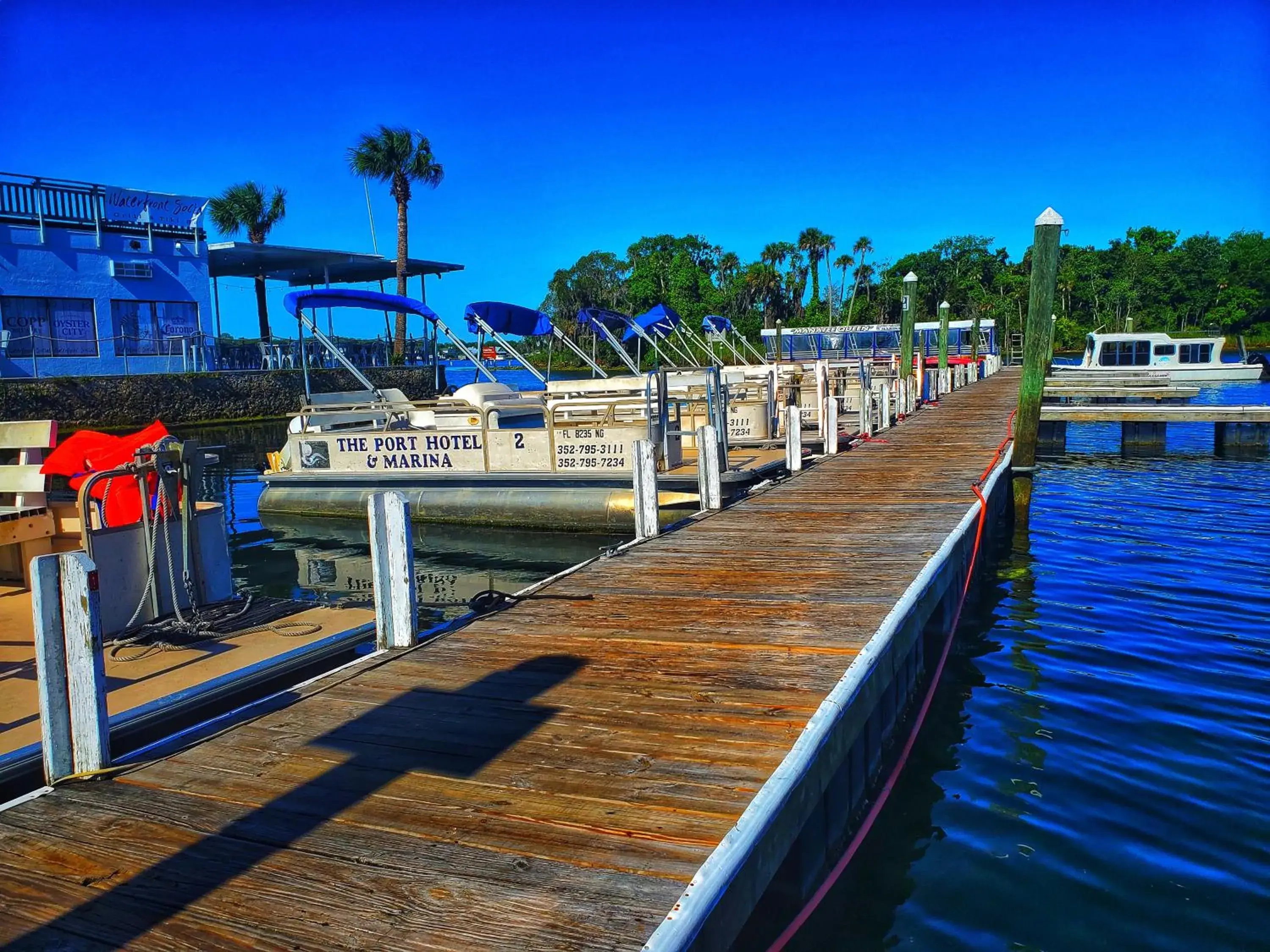 Activities in The Port Hotel and Marina