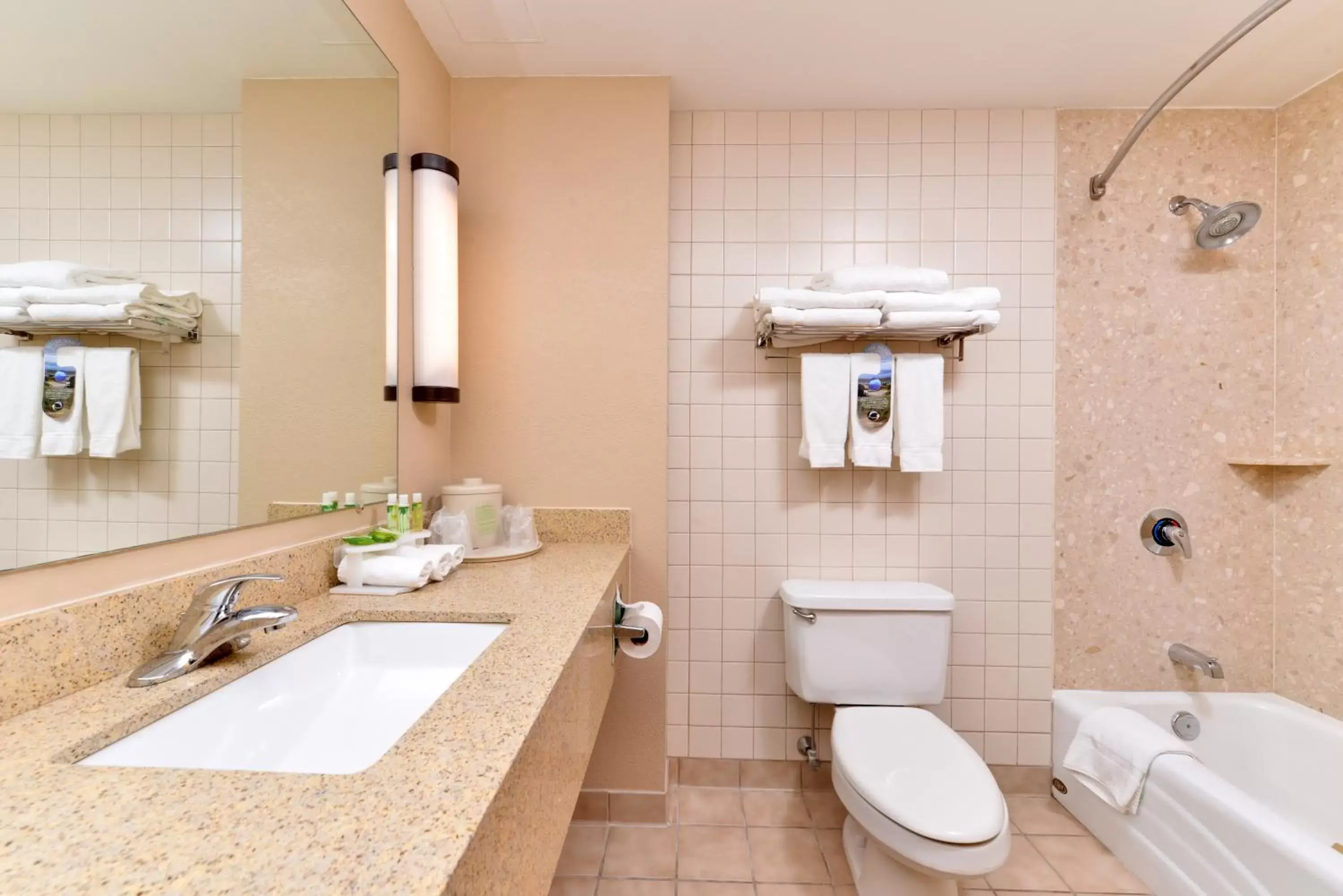 Bathroom in Holiday Inn Express Breezewood, an IHG Hotel