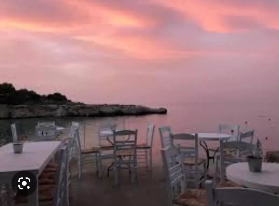 Restaurant/Places to Eat in Tsokkos Protaras Beach Hotel