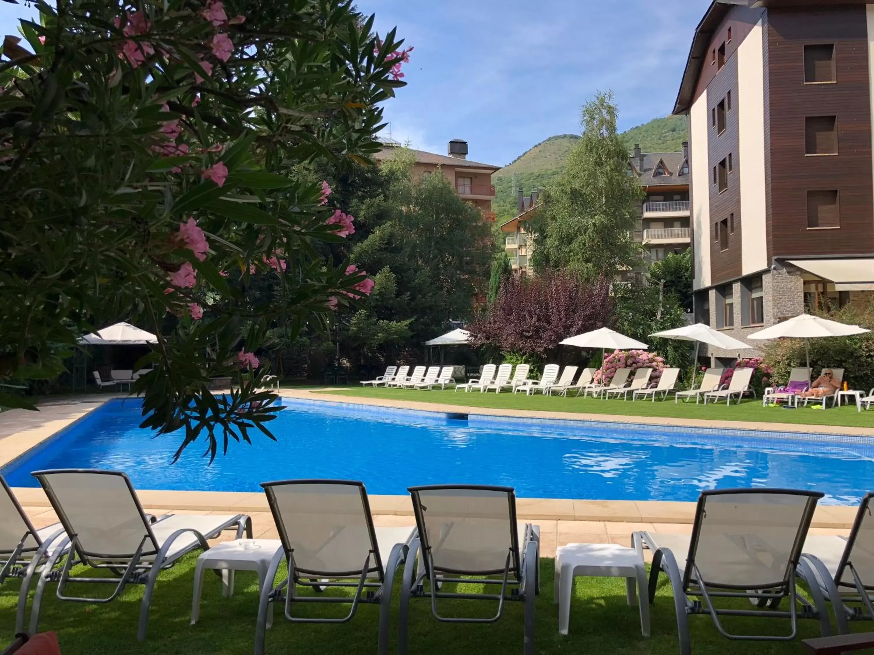 Garden, Swimming Pool in Hotel Restaurant Pessets & SPA