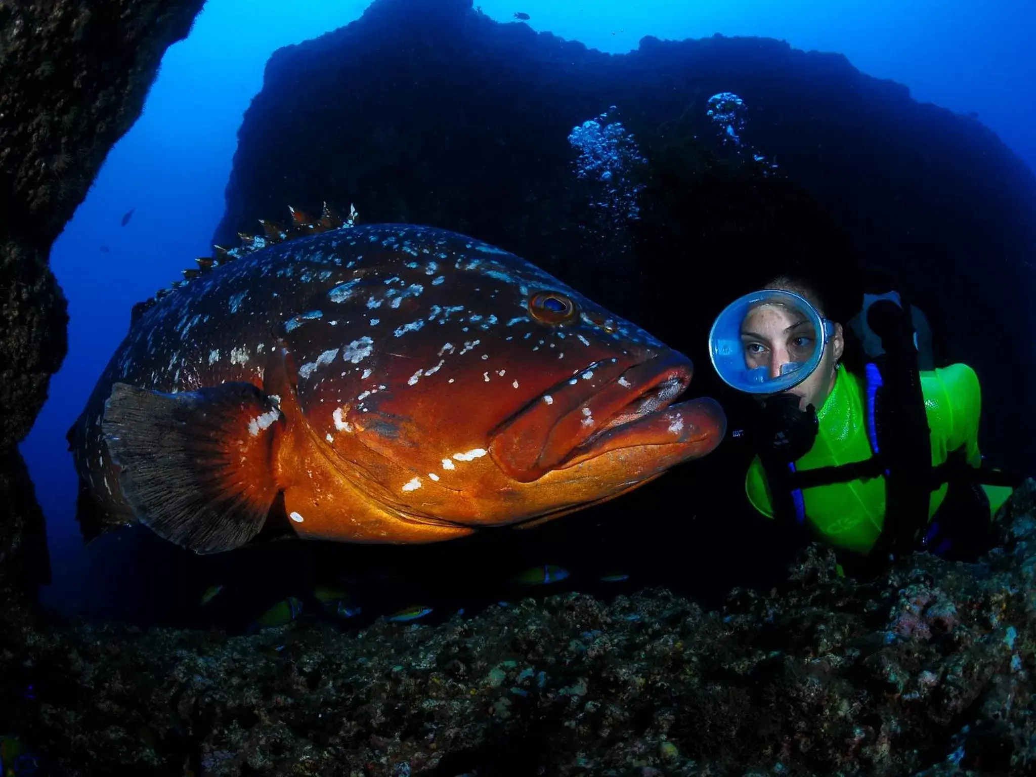 Diving, Food in Dom Pedro Garajau