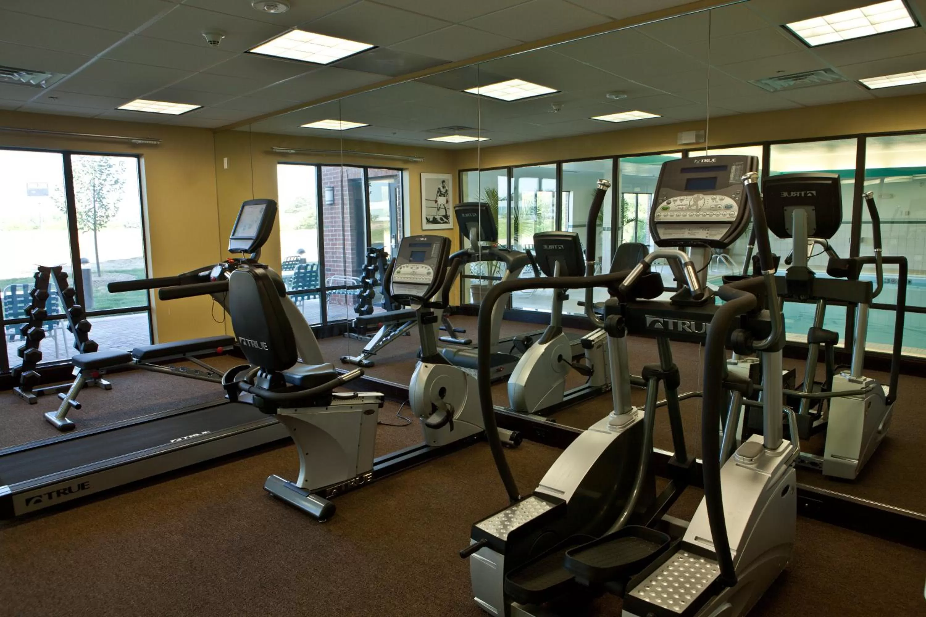 Fitness centre/facilities in Holiday Inn Express Hotel & Suites Lansing-Dimondale by IHG