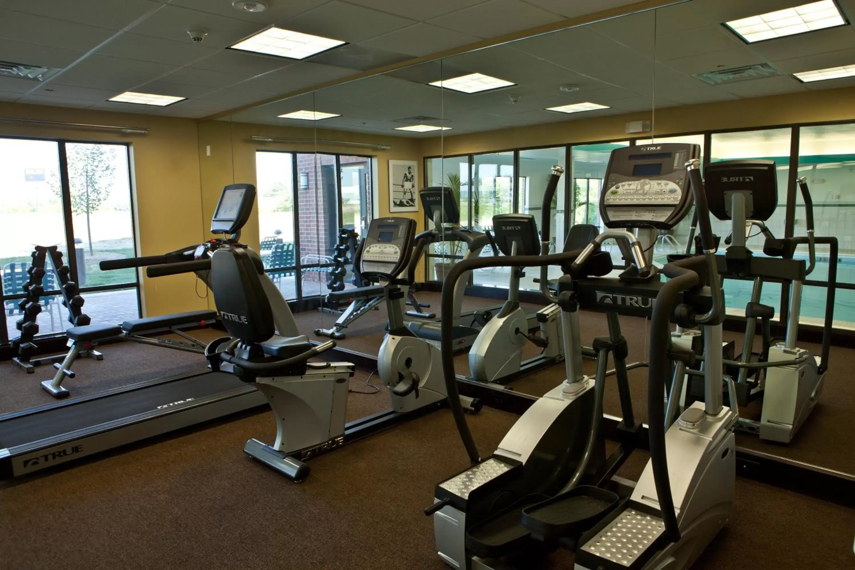 Fitness centre/facilities, Fitness Center/Facilities in Holiday Inn Express Hotel & Suites Lansing-Dimondale, an IHG Hotel