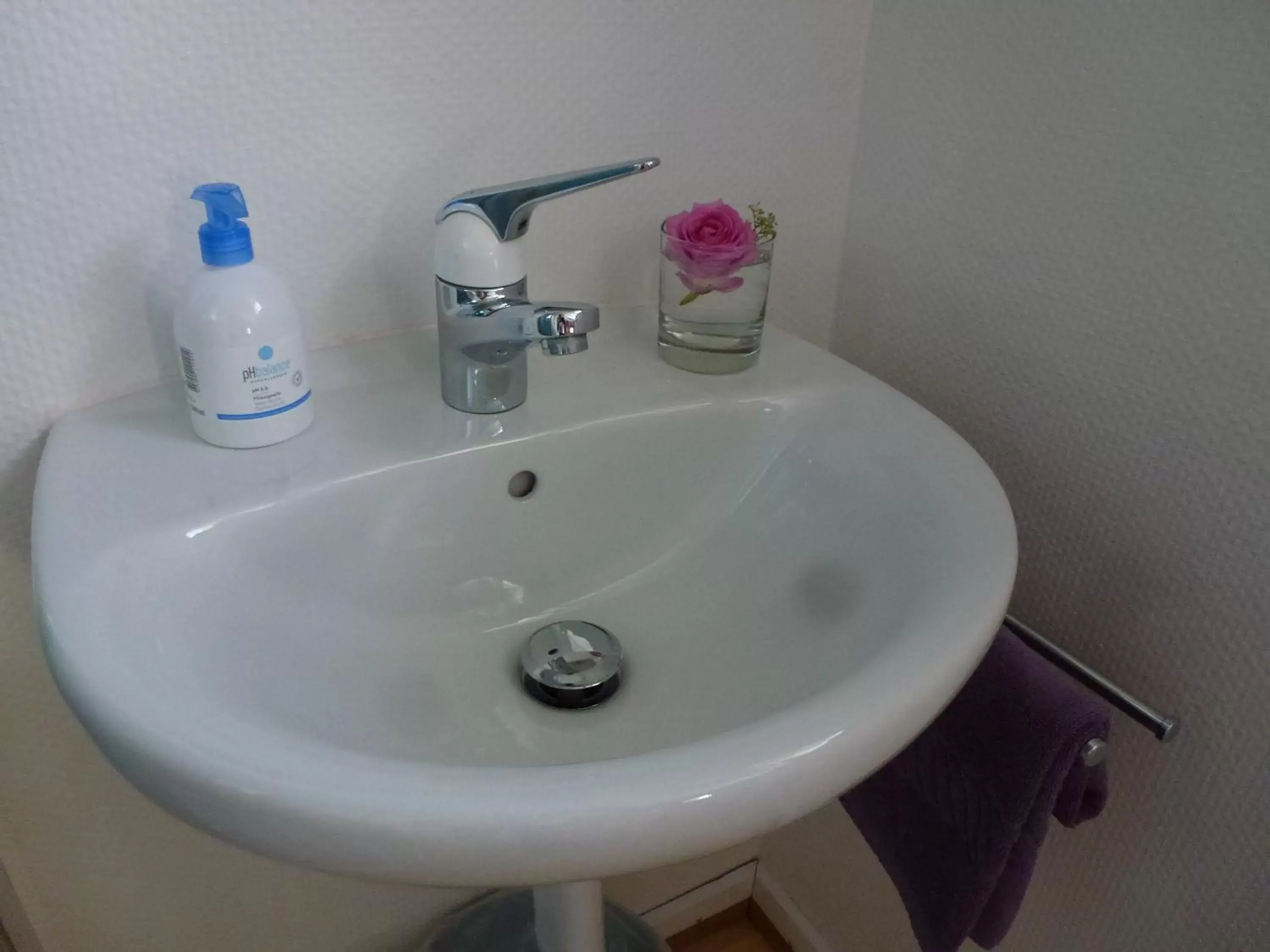 Deluxe Double Room with Shower in B&B Kalimera Pratteln