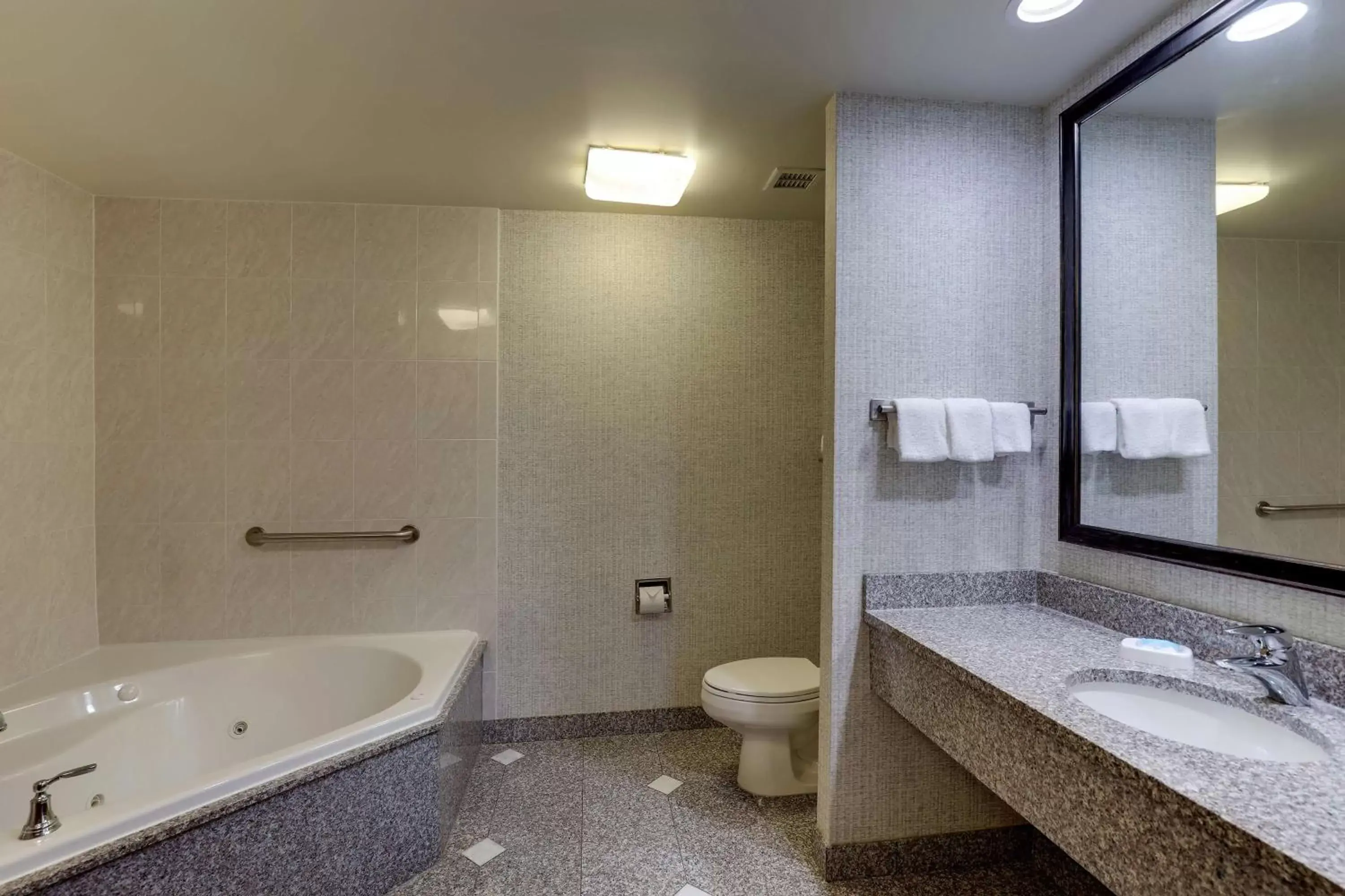 Bathroom in Drury Inn & Suites Montgomery