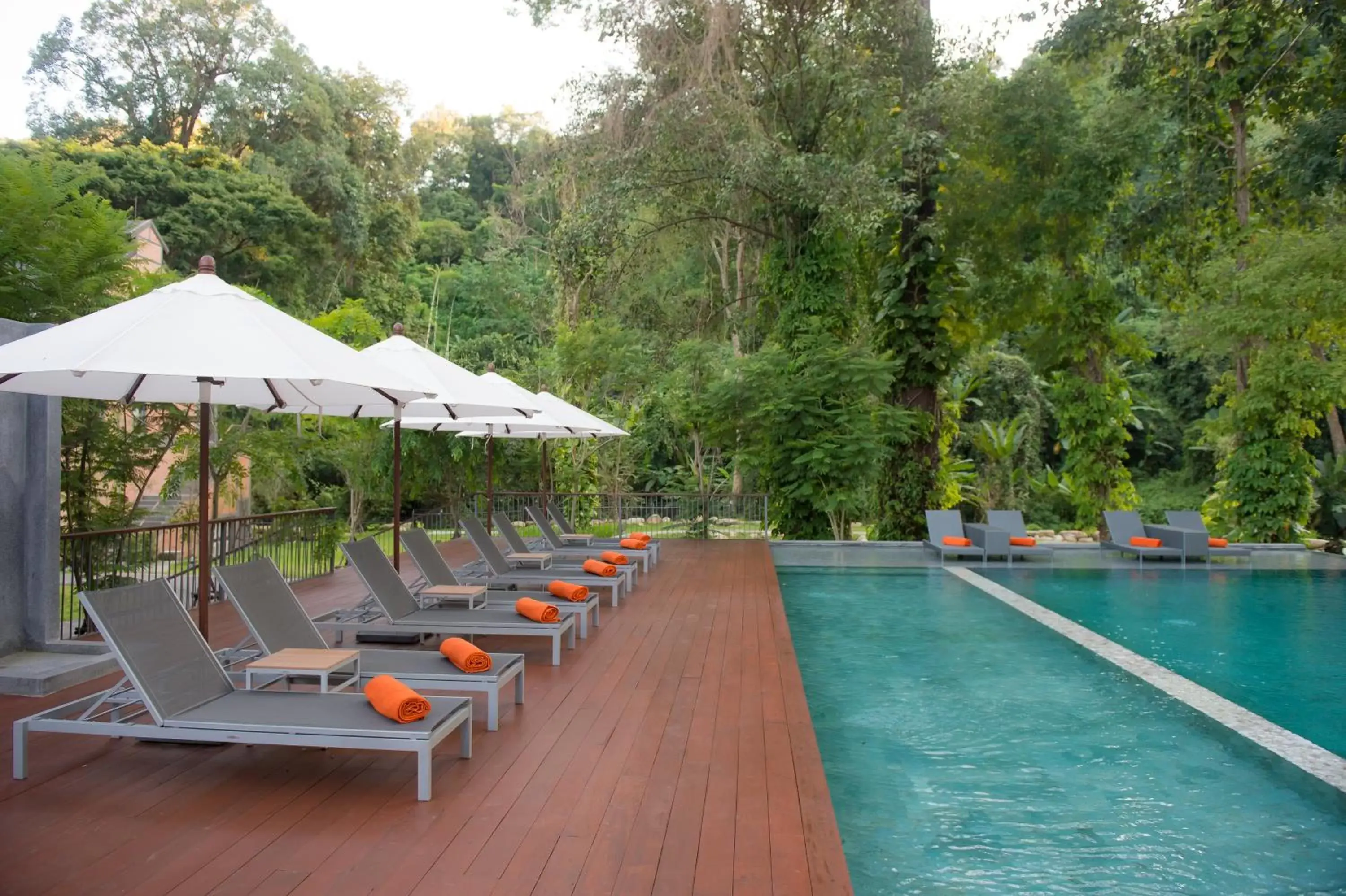 Swimming Pool in Flora Creek Chiang Mai