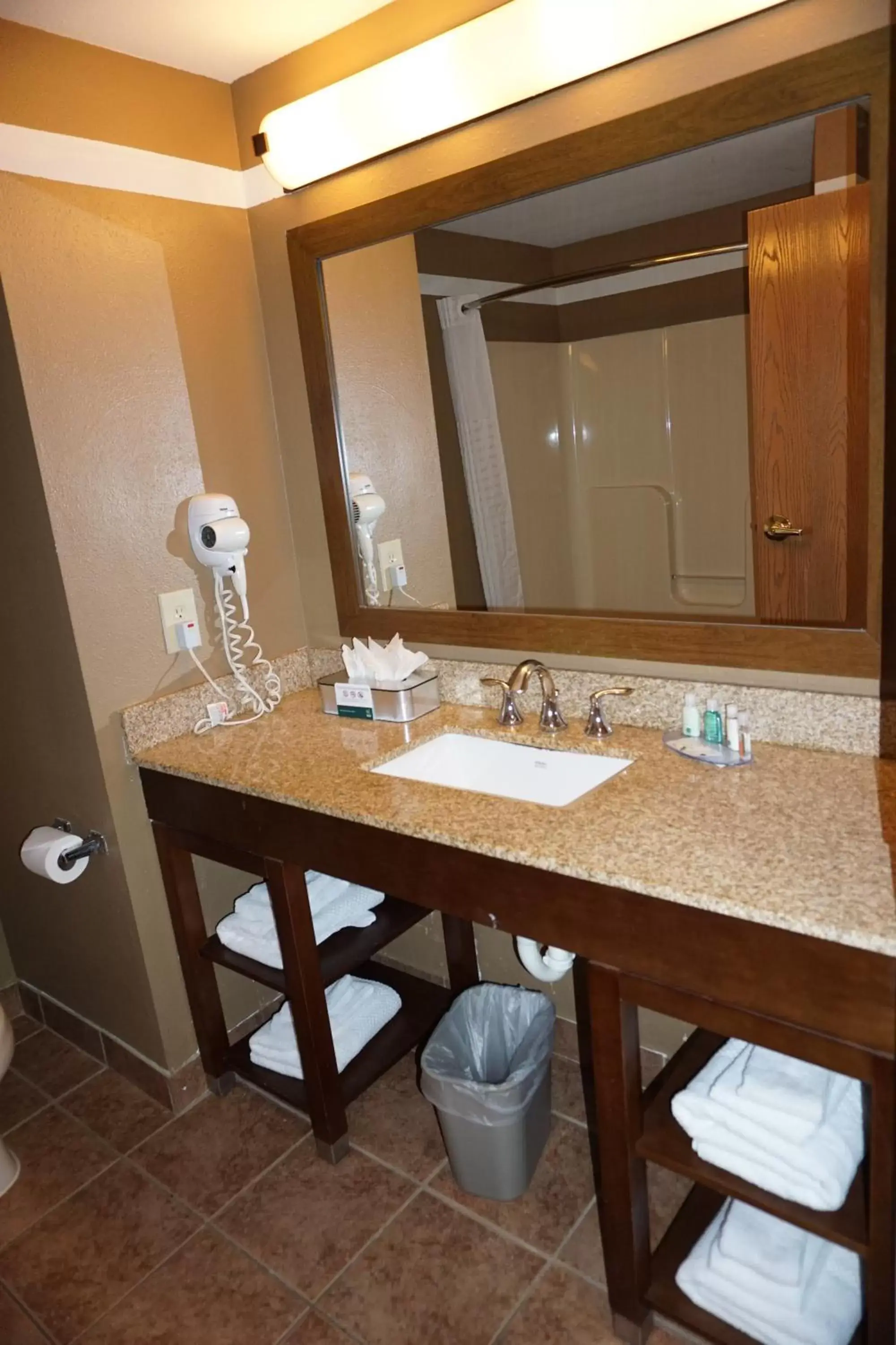 Bathroom in Quality Inn & Suites Georgetown - Seaford