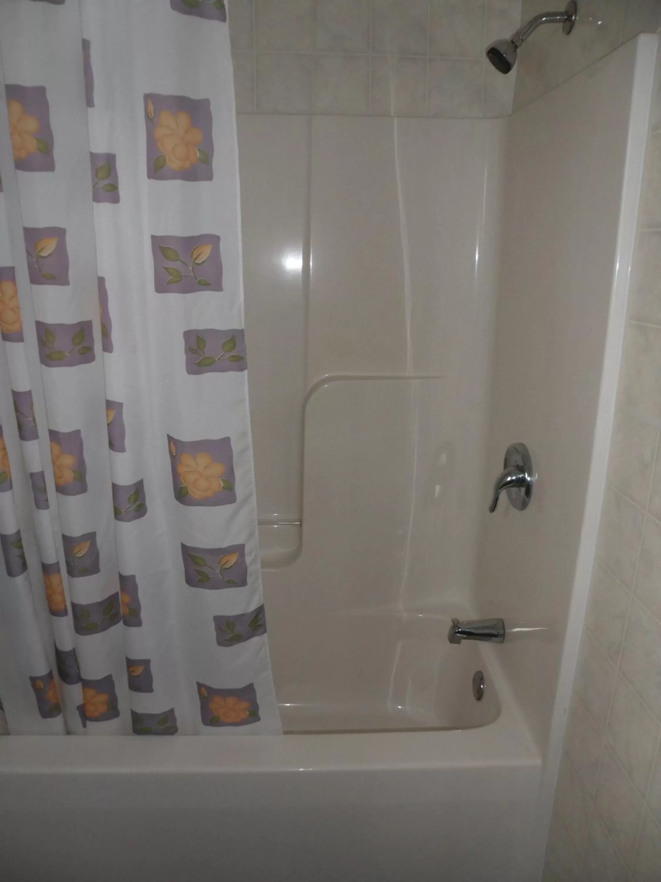 Shower, Bathroom in The Silver Birch Motel