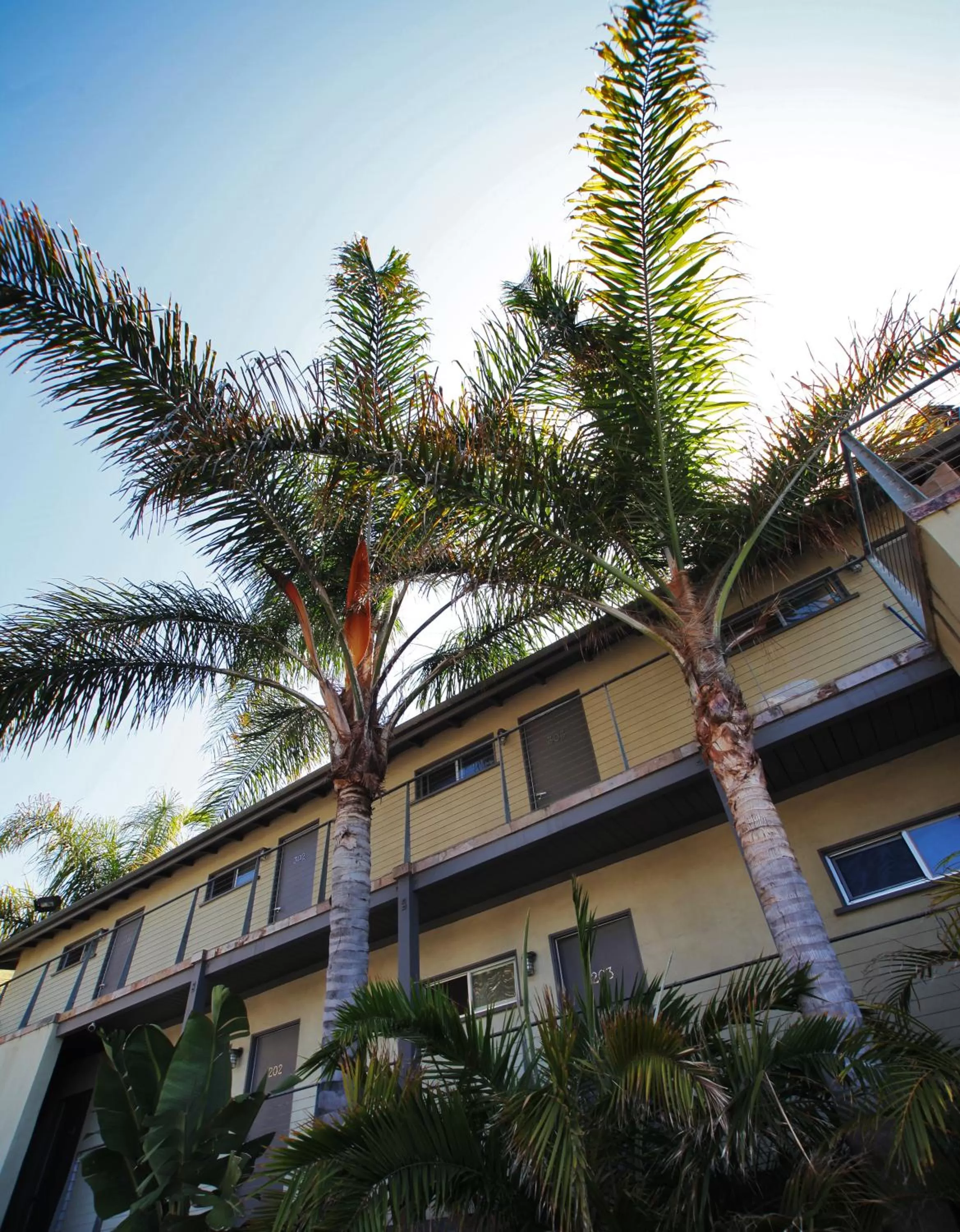 Property building in The M Malibu