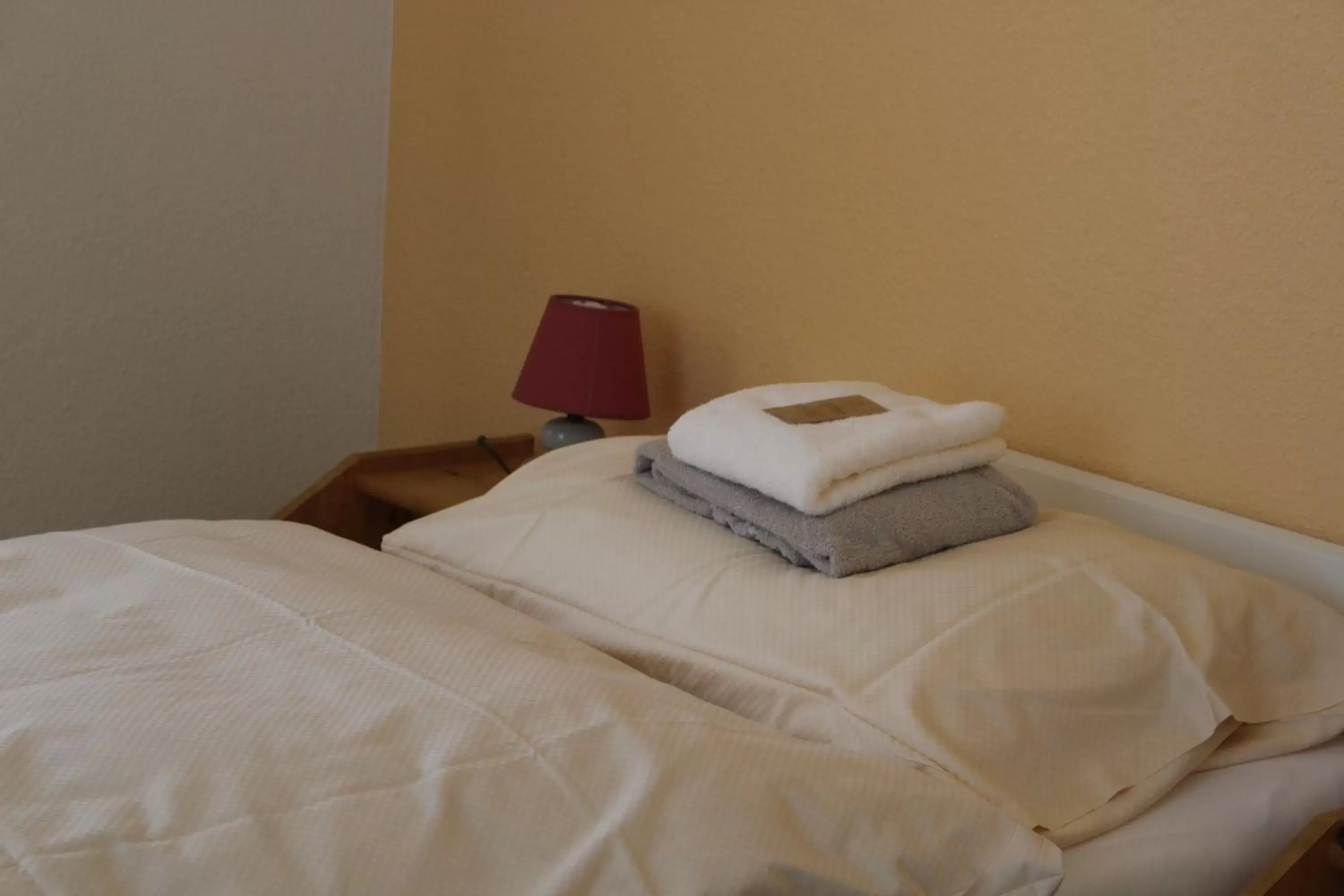 Single Room - single occupancy in Hôtel de la Gare Single Room - single occupancy in Hôtel de la Gare