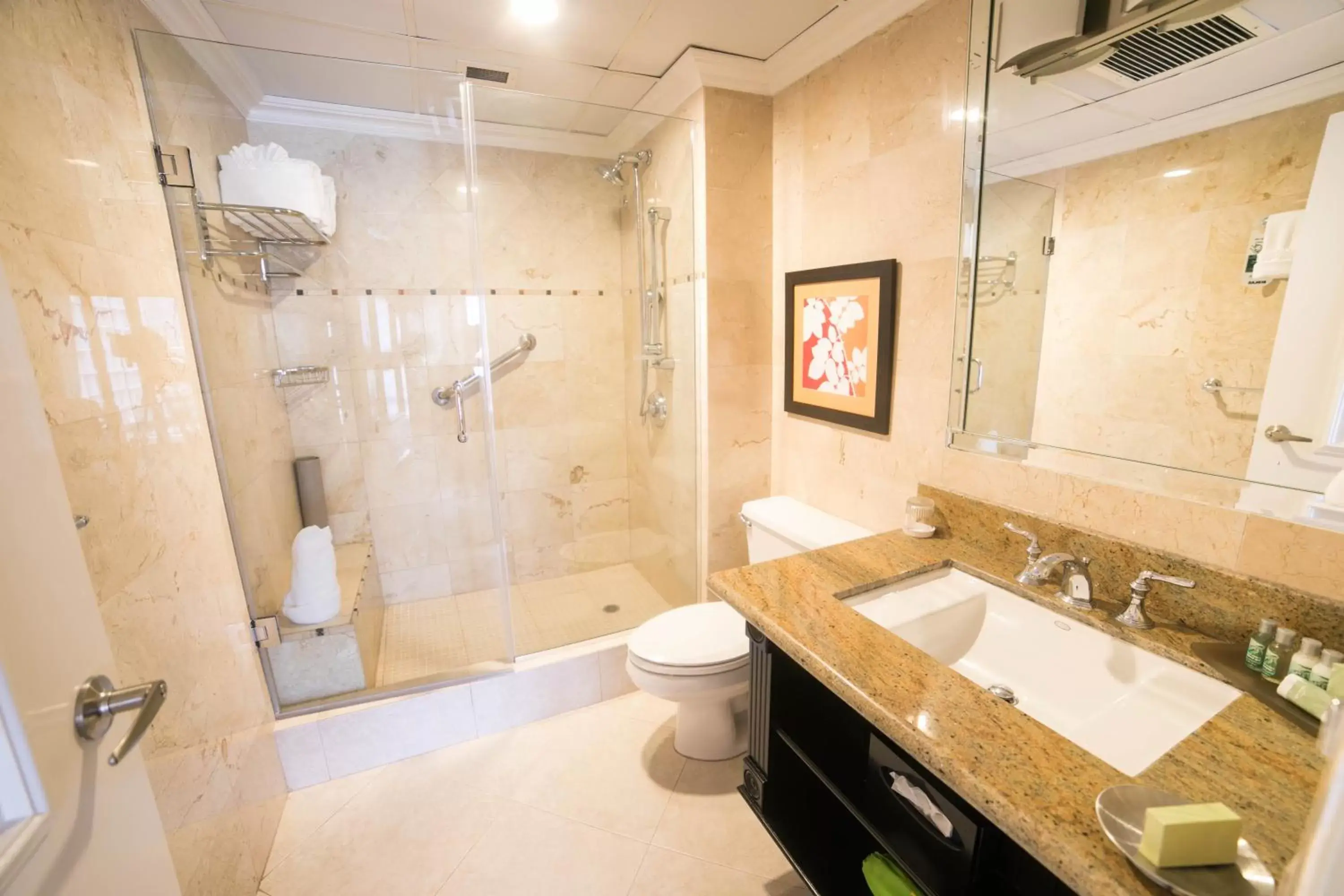 Shower, Bathroom in Courtleigh Hotel & Suites