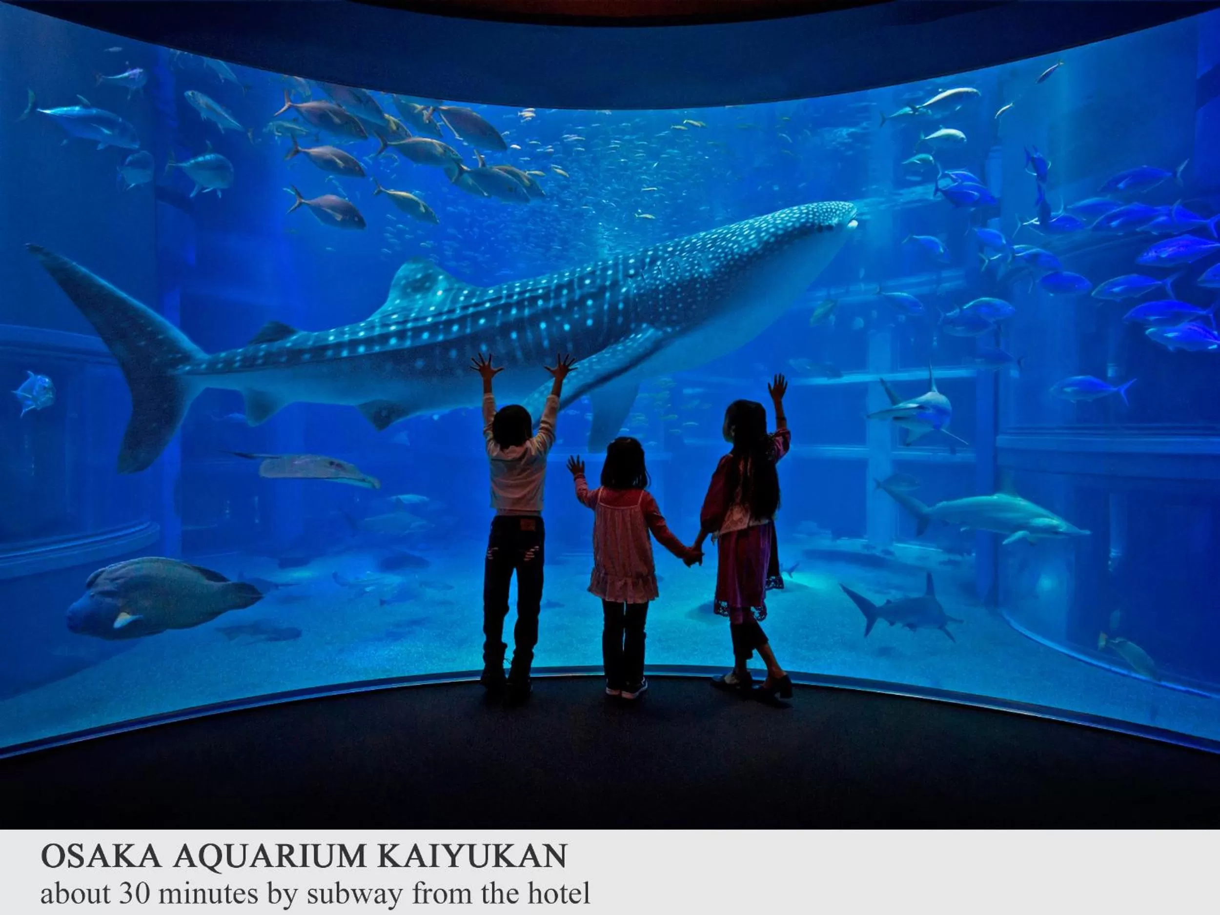 Other in Premier Hotel -CABIN PRESIDENT- Osaka