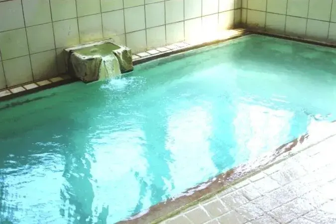 Hot Spring Bath, Swimming Pool in Yoshidaya Ryokan