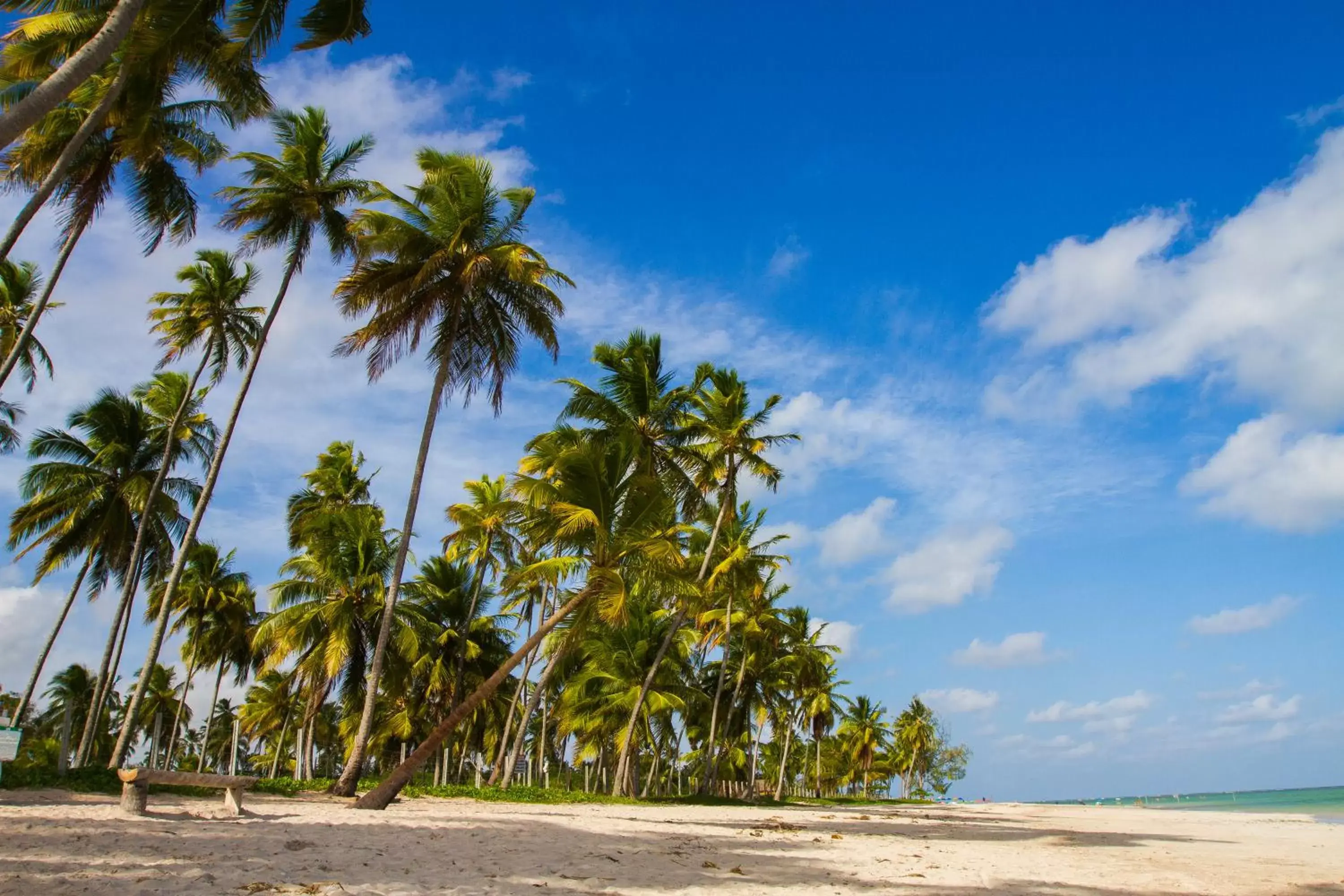 Natural landscape, Beach in Hotel Areias Belas