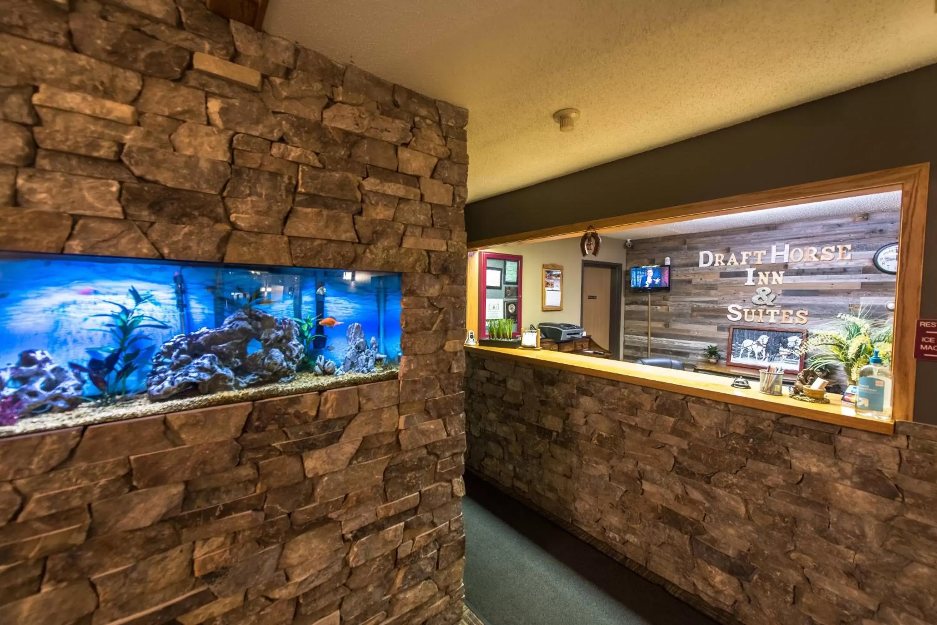 Lobby or reception, Lobby/Reception in Draft Horse Inn and Suites